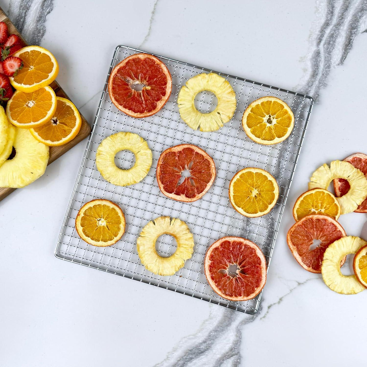 Deshidratador Excalibur 8 Bandejas Acero Inoxidable 700W