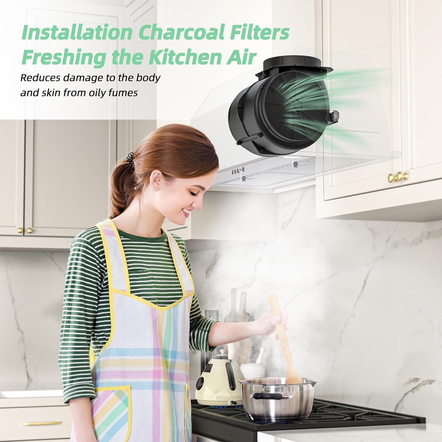 Filtro de Carbón Activado FIREGAS CC170 - 2 Pzs para Campana