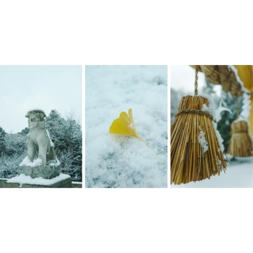 Lente Sigma 20mm F2 DG Contemporánea Montura L + Accesorios