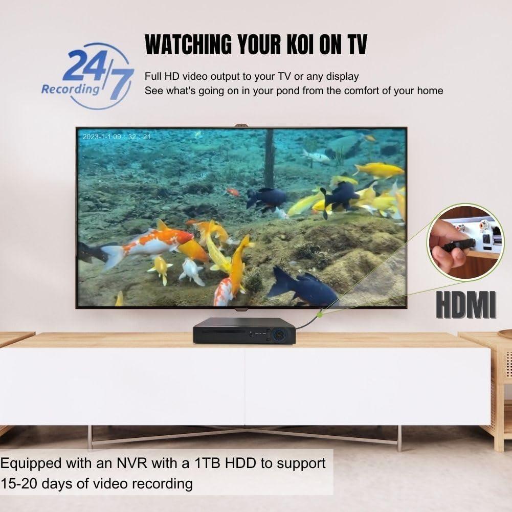 Cámara de Seguridad Submarina Barlus H.265 5MP IP68 con HDD 1TB