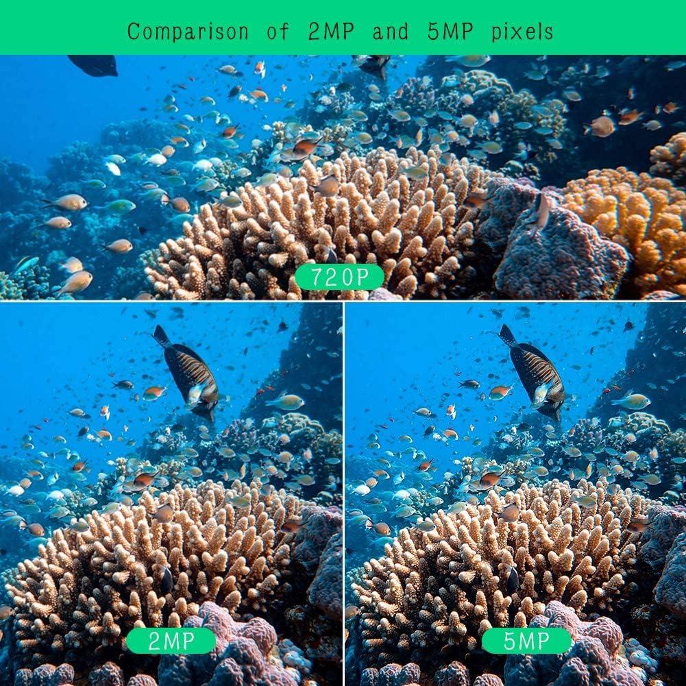 Cámara de Seguridad Submarina Barlus H.265 5MP IP68 con HDD 1TB