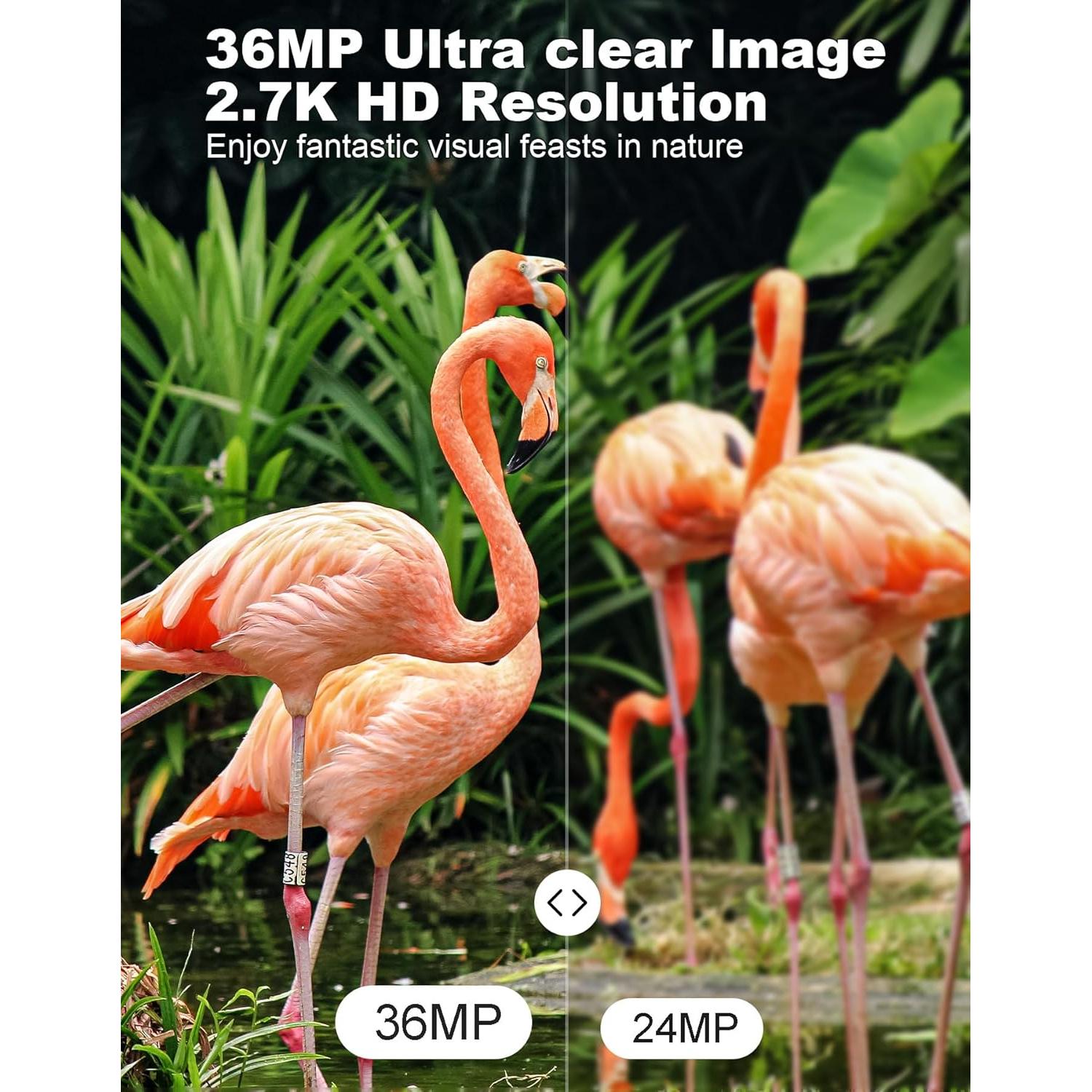 Cámara de Sendero KJK GE-HC201-1 36MP 2.7K Visión Nocturna