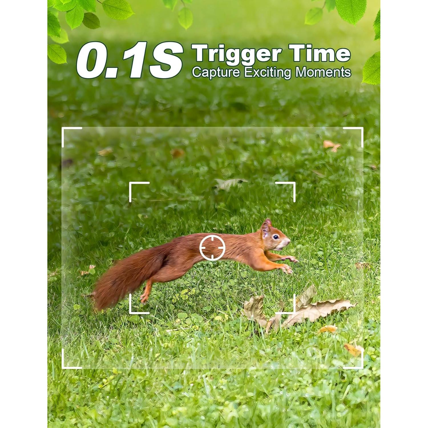 Cámara de Sendero KJK GE-HC201-1 36MP 2.7K Visión Nocturna