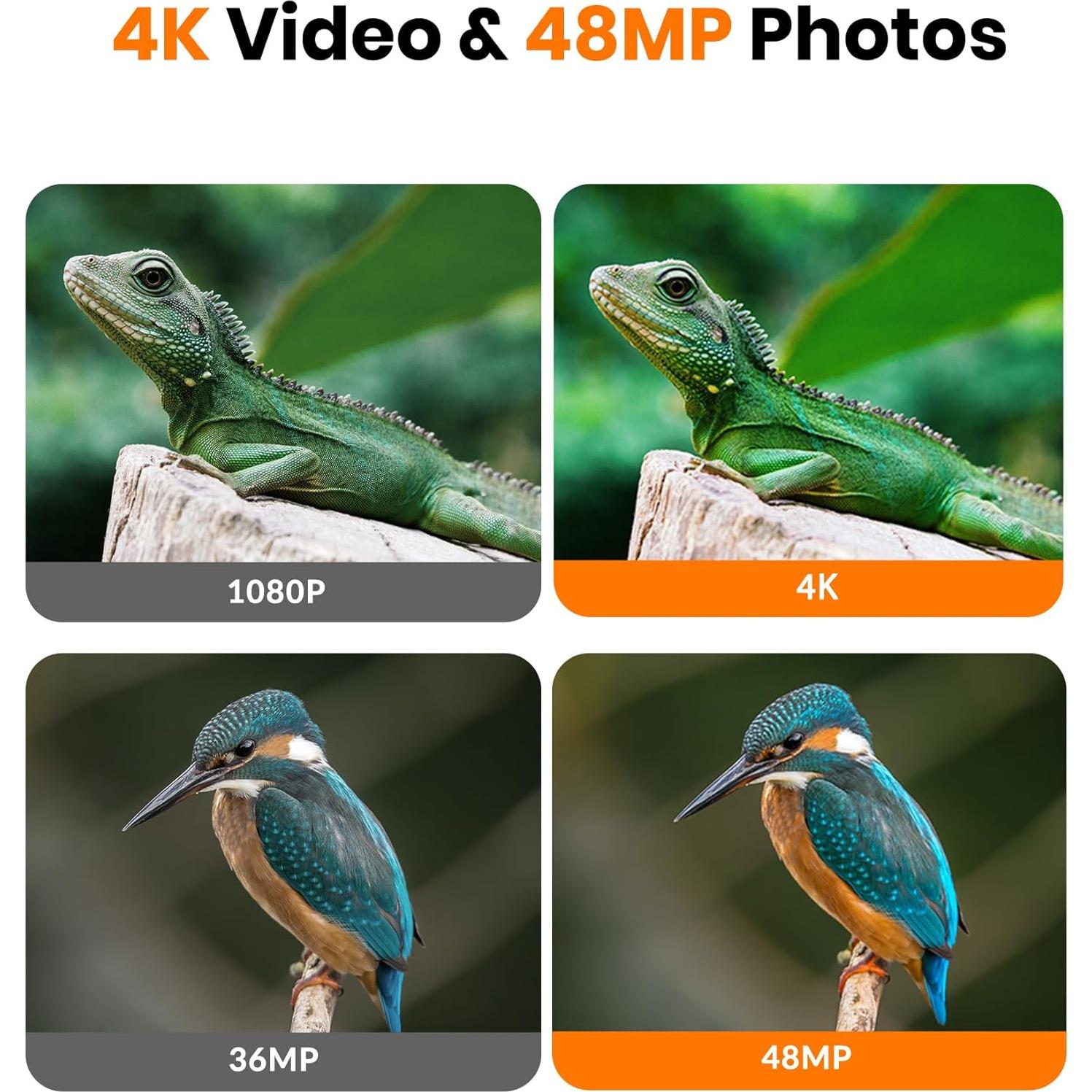 Cámara de sendero Dargahou 4K 48MP WiFi IP66 visión nocturna
