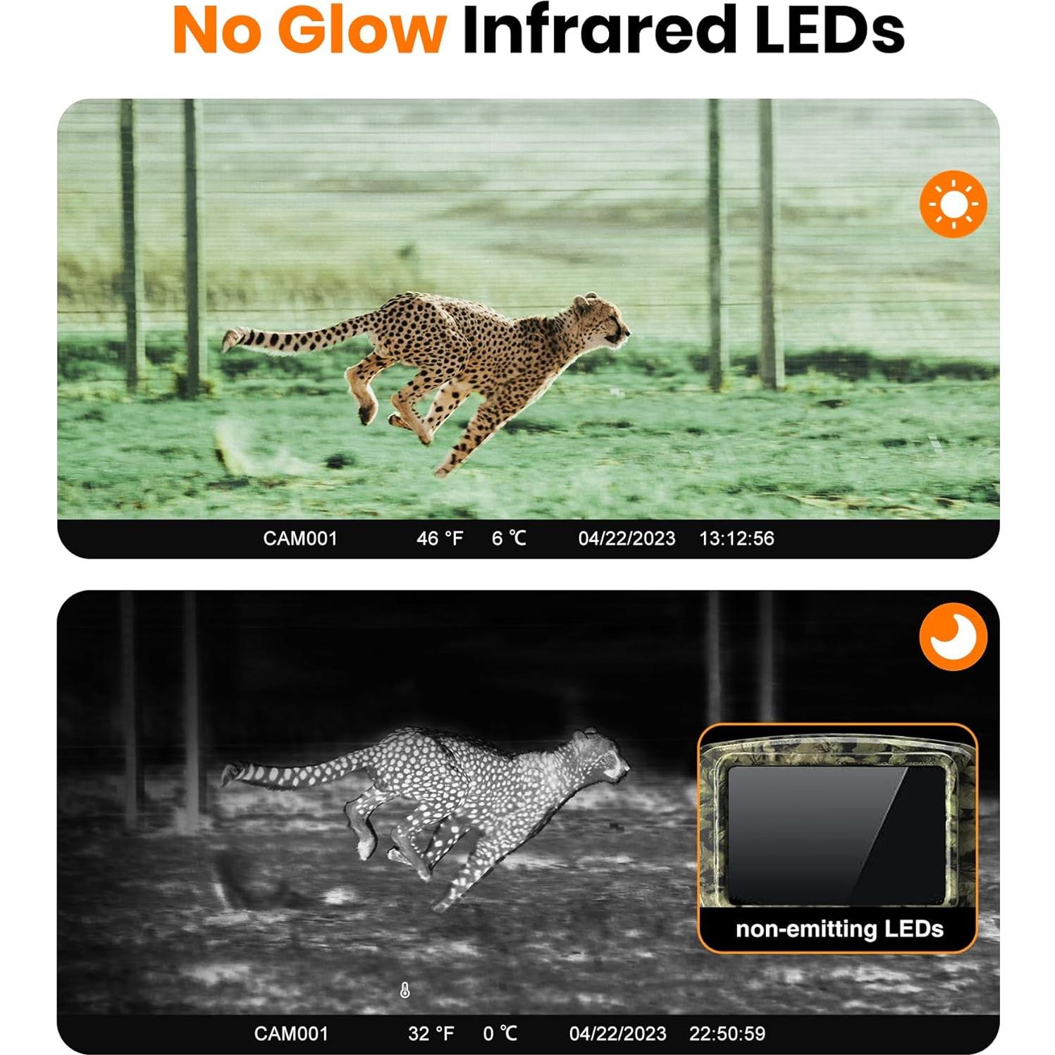 Cámara de sendero Dargahou 4K 48MP WiFi IP66 visión nocturna