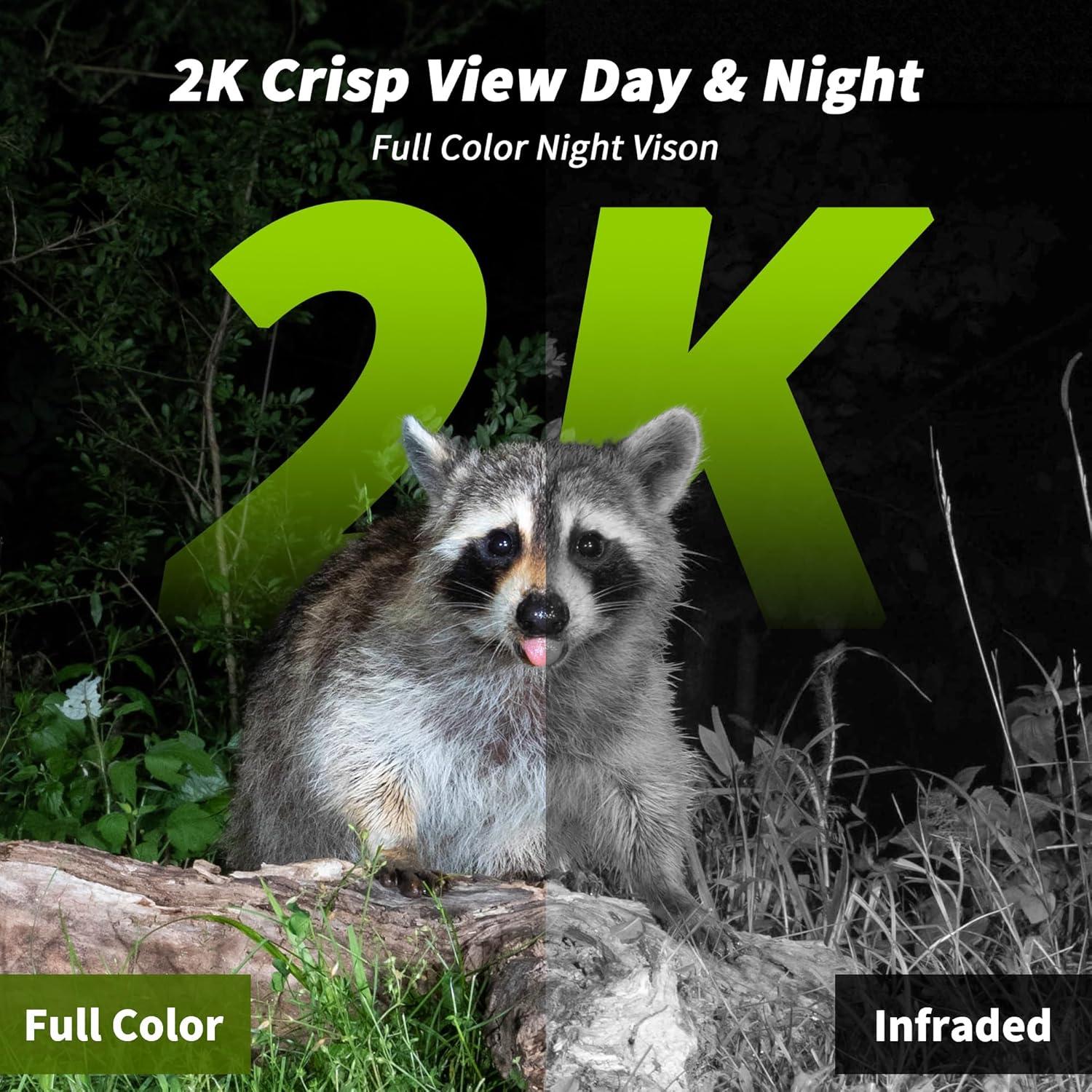 Cámara de sendero celular LIWAN ZC-YT10 2K HD Solar IP66