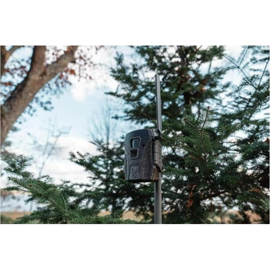 Cámara Celular Wildgame Innovations Terra XT 2.0 24MP