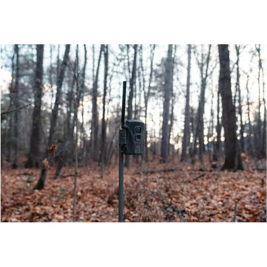 Cámara Celular Wildgame Innovations Terra XT 2.0 24MP