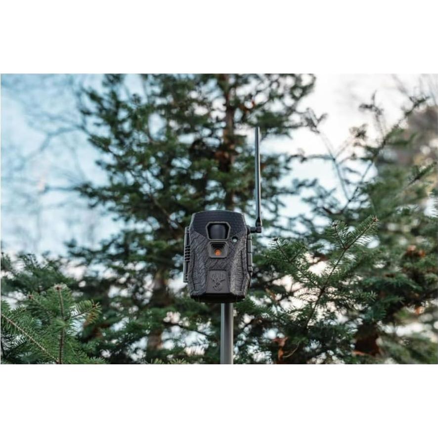 Cámara Celular Wildgame Innovations Terra XT 2.0 24MP