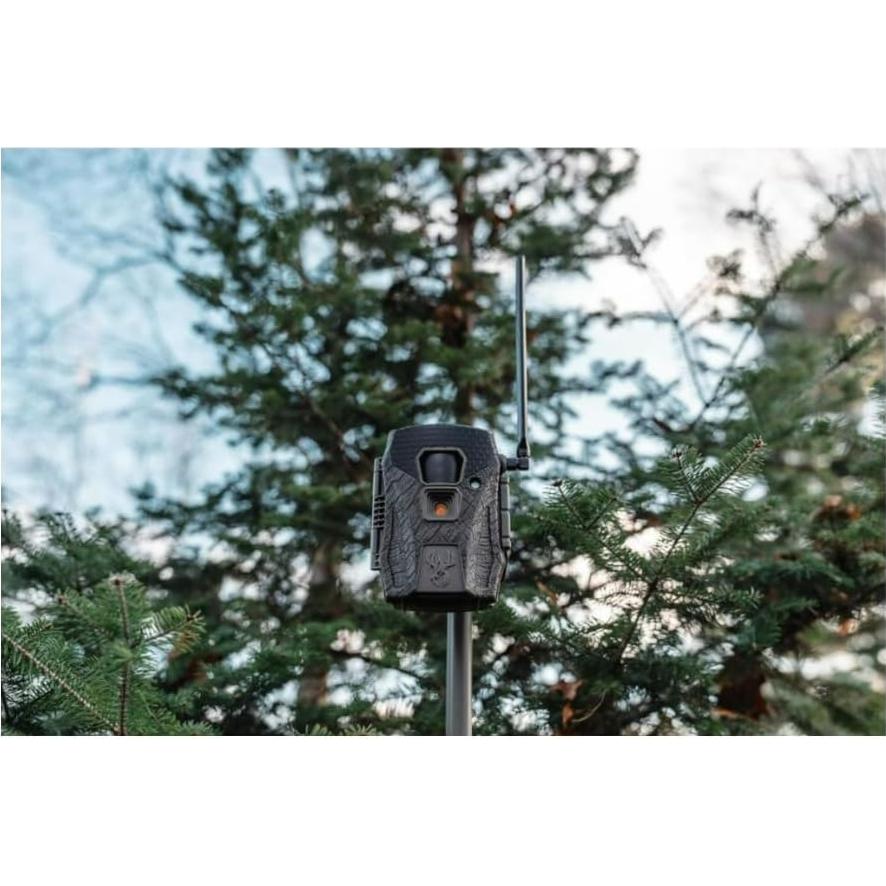 Cámara Celular Wildgame Innovations Terra XT 2.0 24MP
