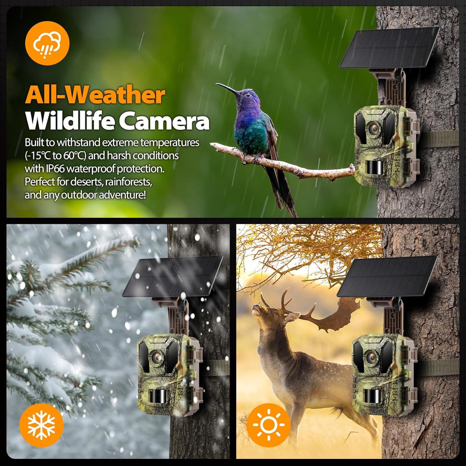 Cámara de Sendero Solar WiFi Briggren 4K 64MP Impermeable