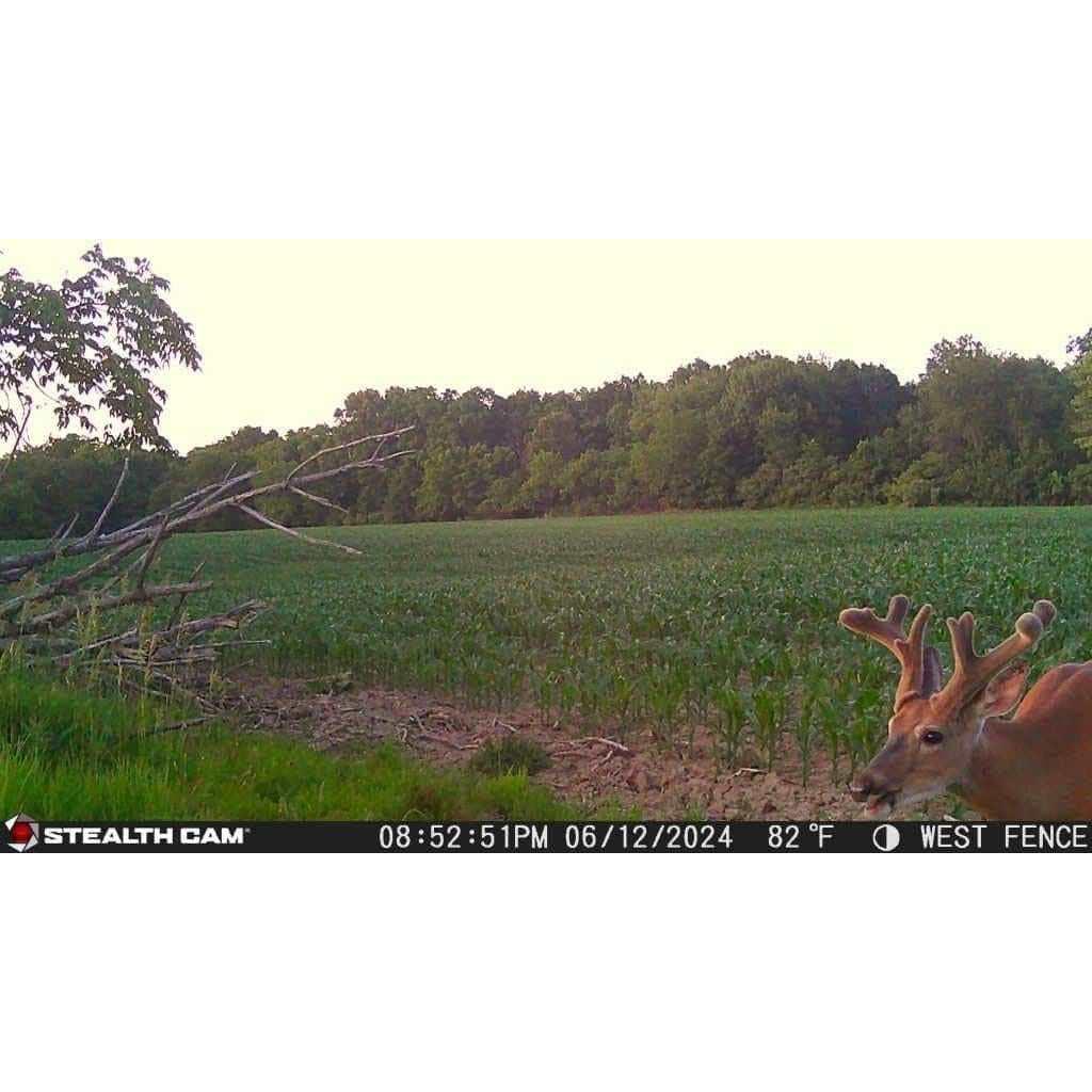 Cámara de Caza Stealth Cam Revolver 36MP HD 1080P GPS 360°