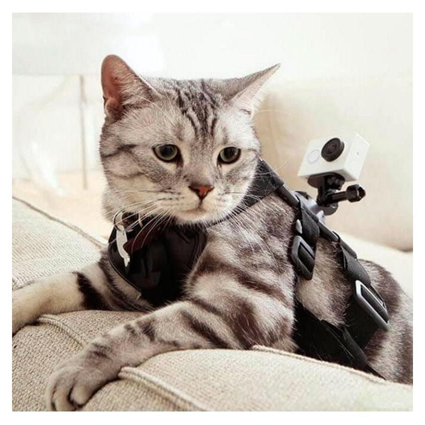 Arnés para Mascotas YI para Cámara de Acción Pequeña