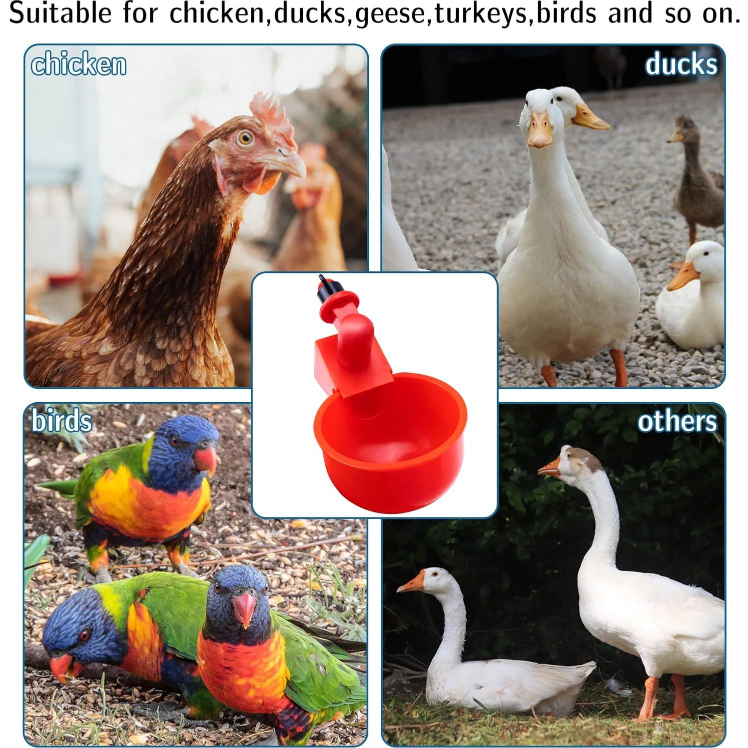 Pack 6 Tazas de Agua Automáticas para Pollos UCandy 10.9 cm