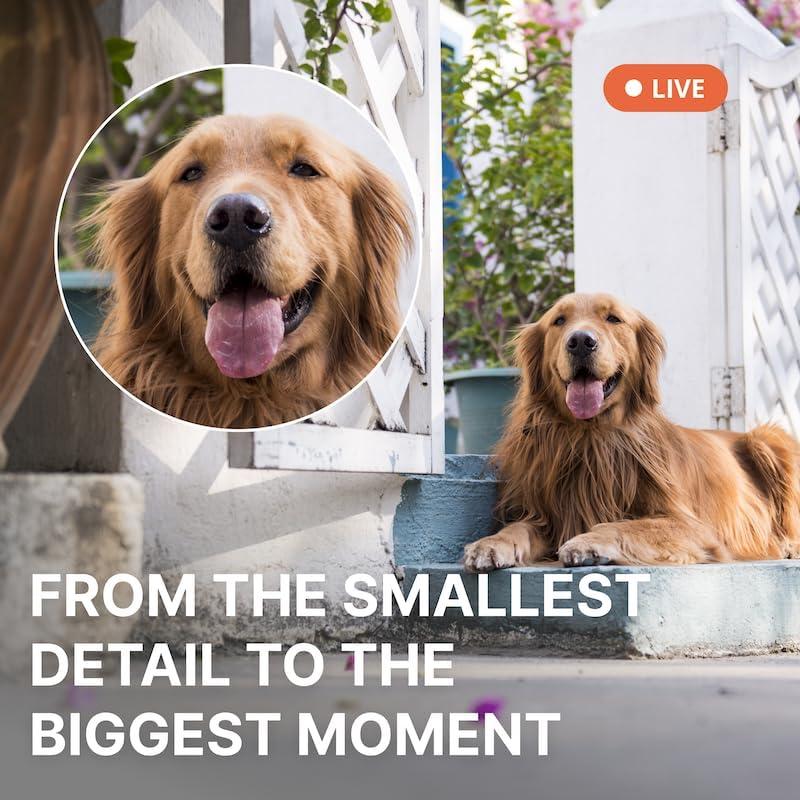 Cámara de Seguridad Inteligente AlfredCam Plus 2.5K WiFi IP65