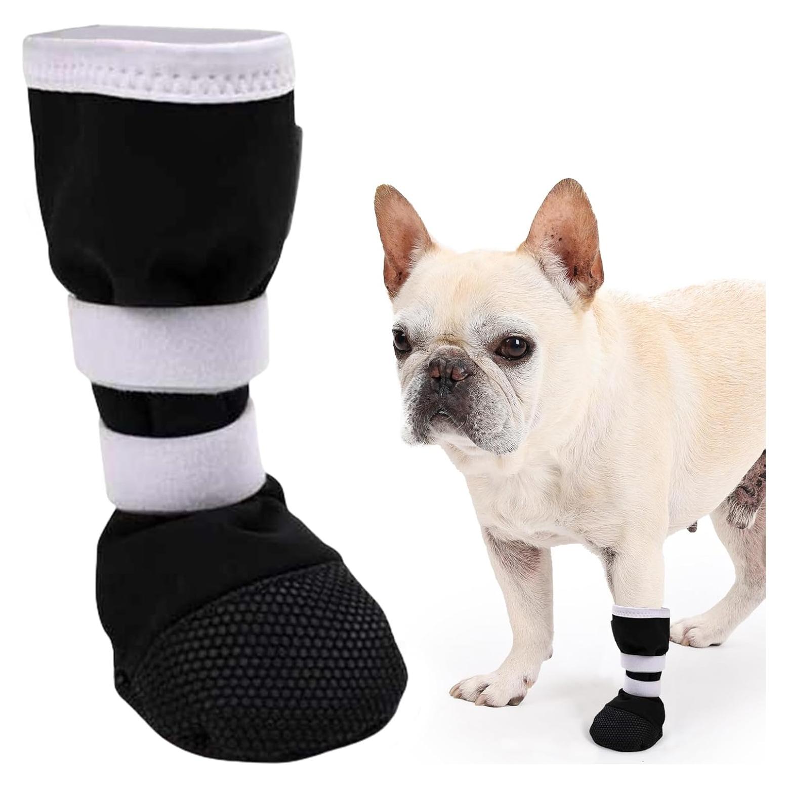 Bota de Recuperación para Perros ETIAL XL Antideslizante