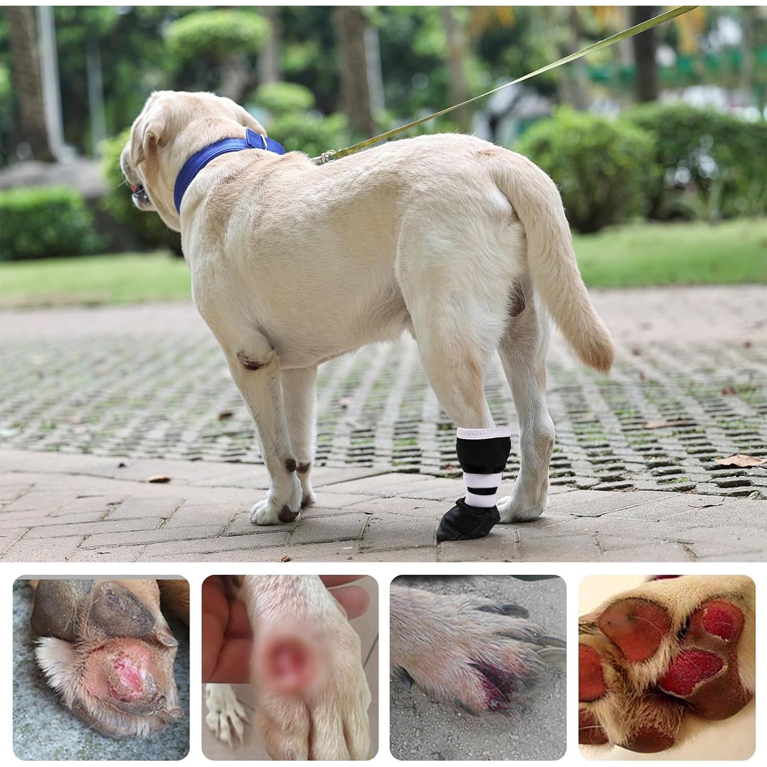 Bota de Recuperación para Perros ETIAL XL Antideslizante