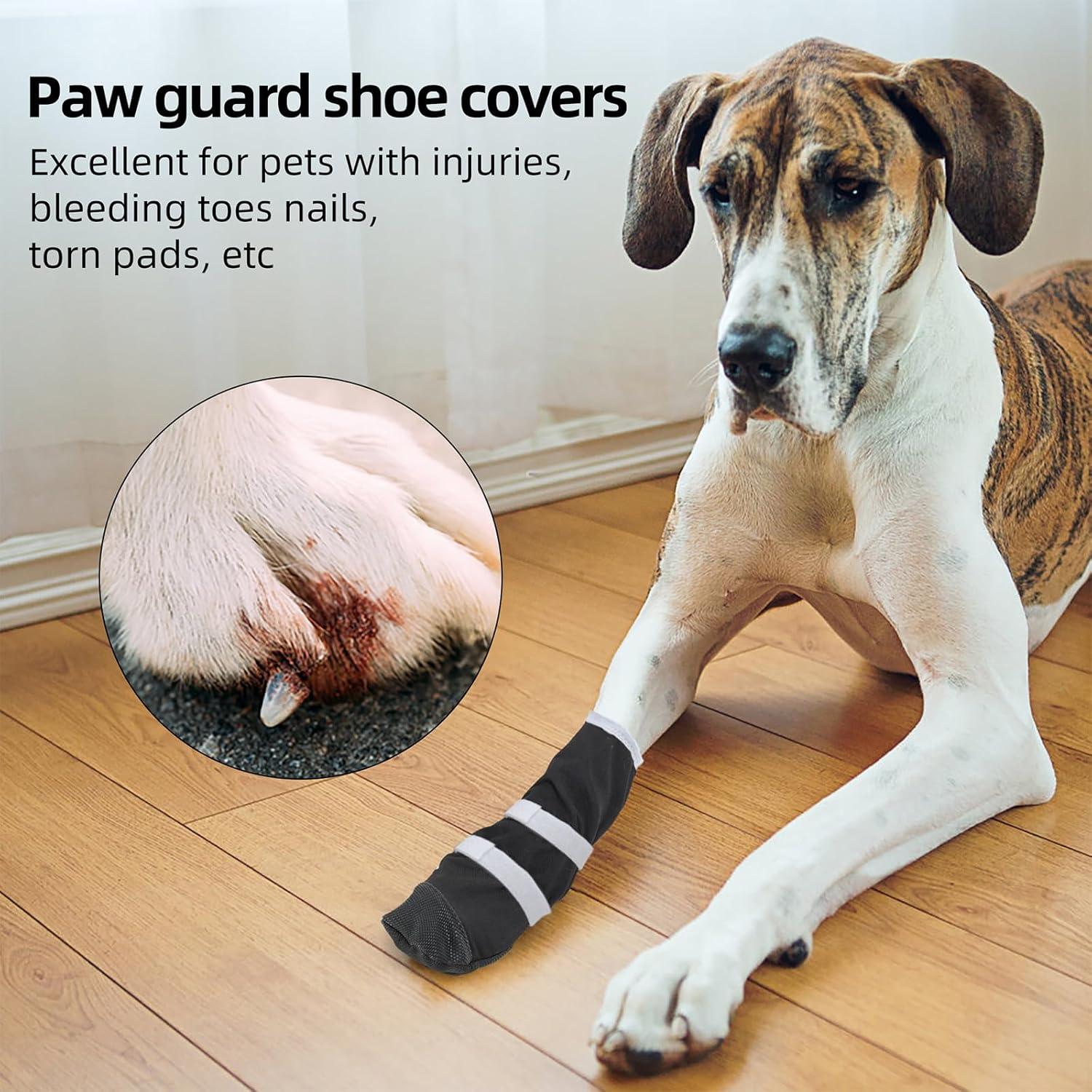 Bota de Recuperación para Perros ETIAL XL Antideslizante