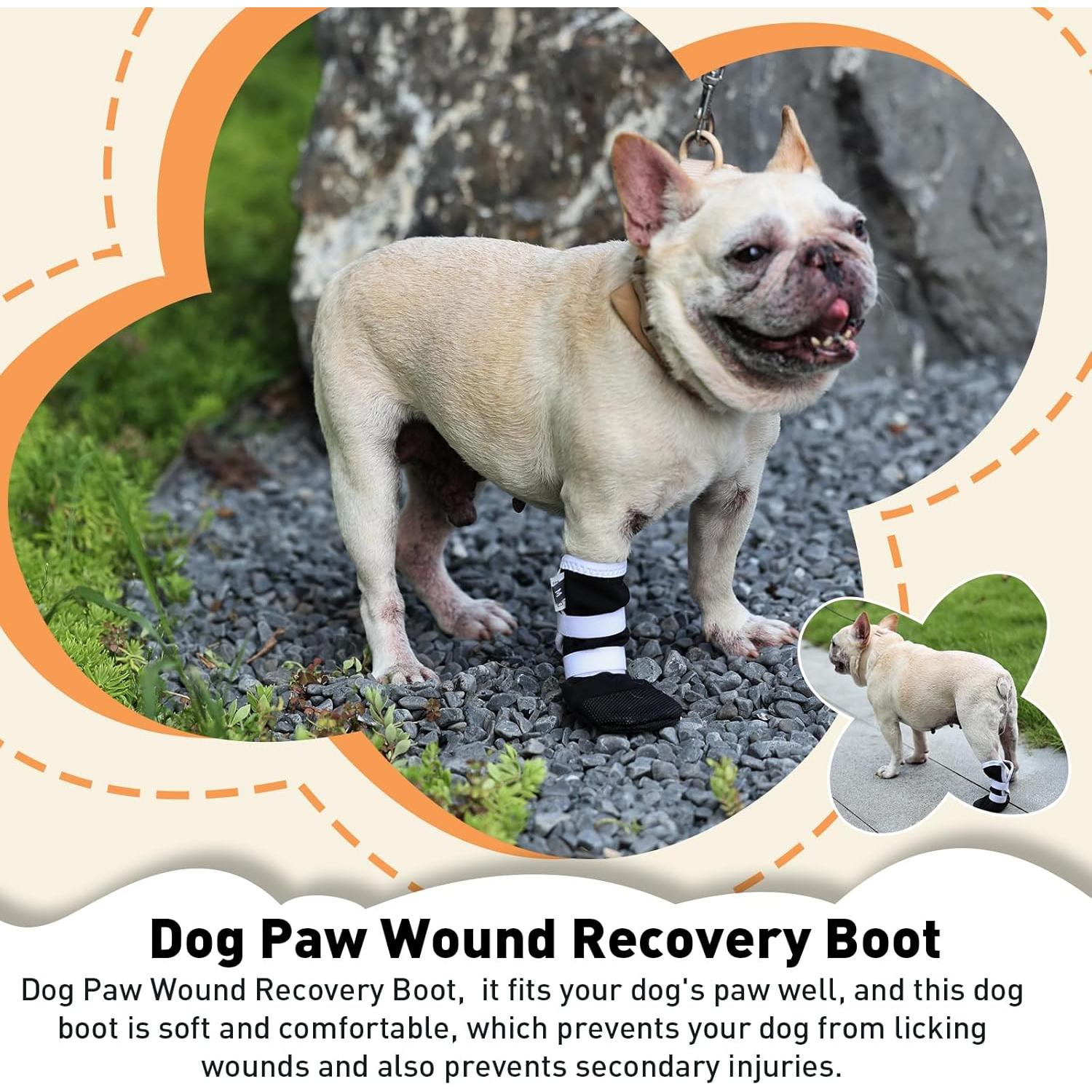 Bota de Recuperación para Perros ETIAL XL Antideslizante