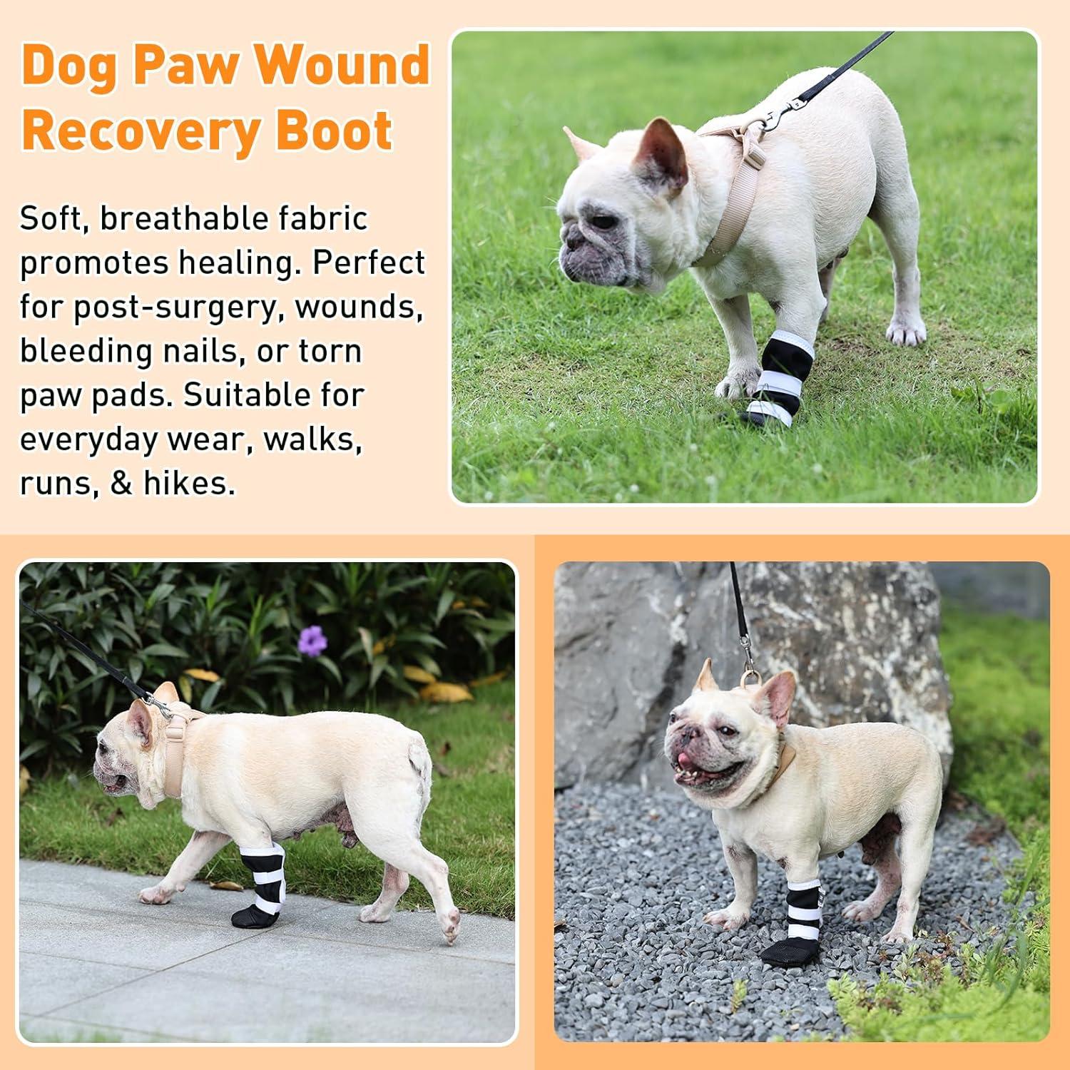 Bota de Recuperación para Perros ETIAL XL Antideslizante