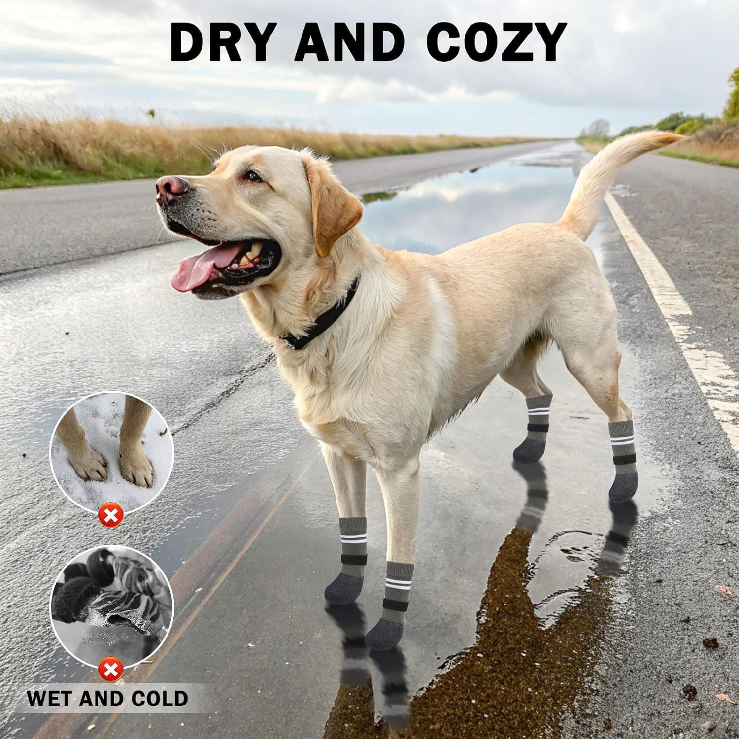 Botas Antideslizantes para Perros SCENEREAL Talla M Impermeables