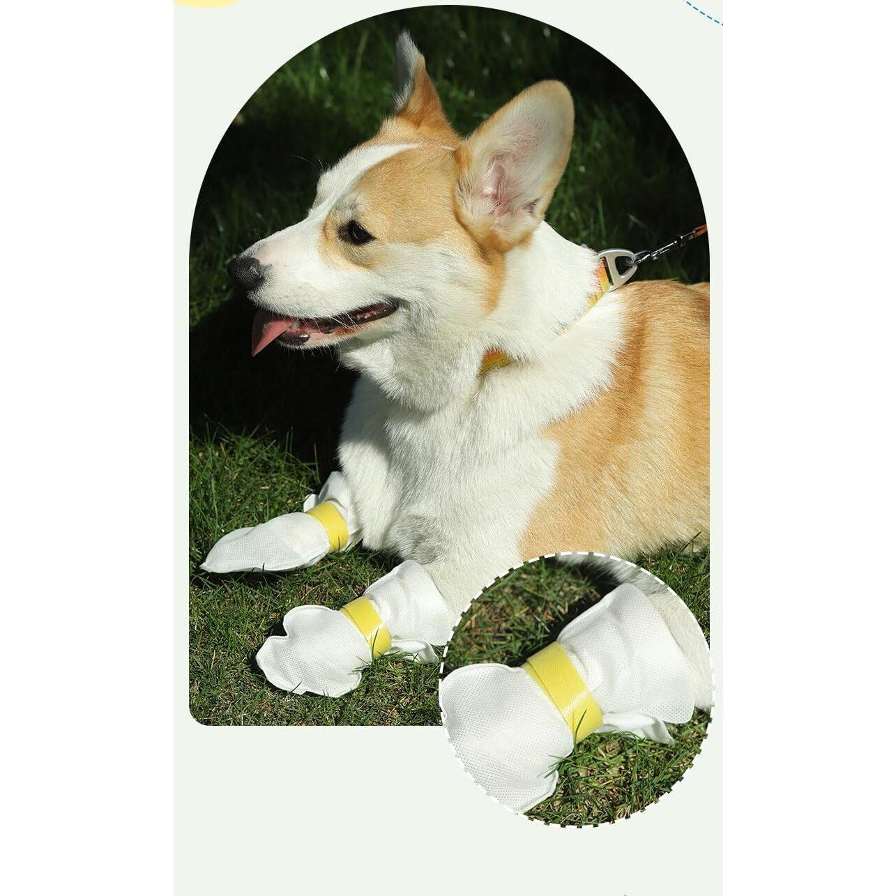 Botas Desechables para Perros YAODHAOD - 20 Piezas Pequeñas