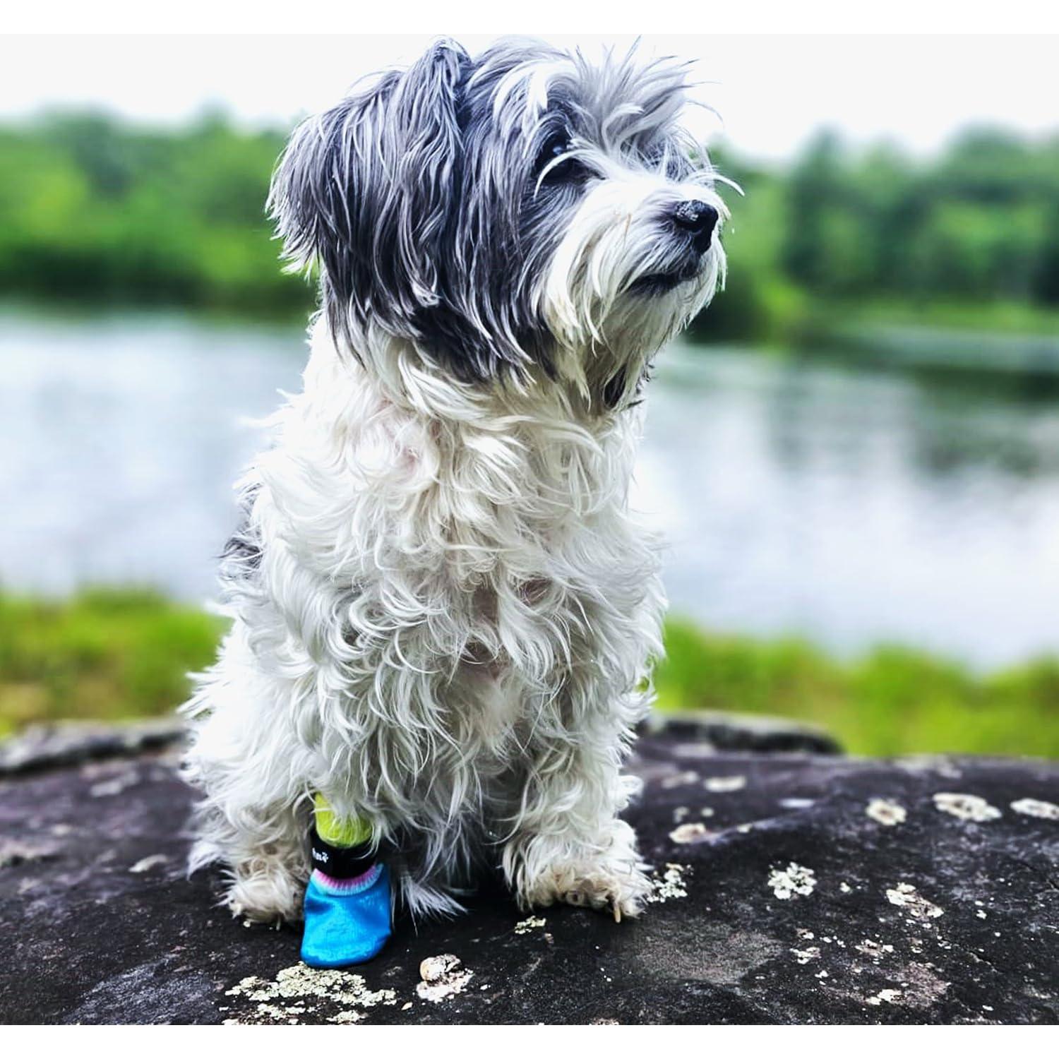 Calcetines Impermeables para Perros PawFlex Mediano Grande Antideslizantes