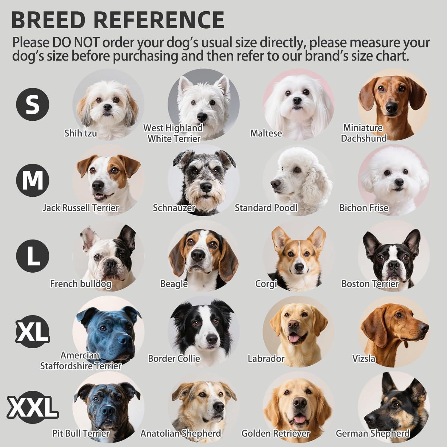 Botas Antideslizantes para Perros PUPTECK - Protección Patas Grande