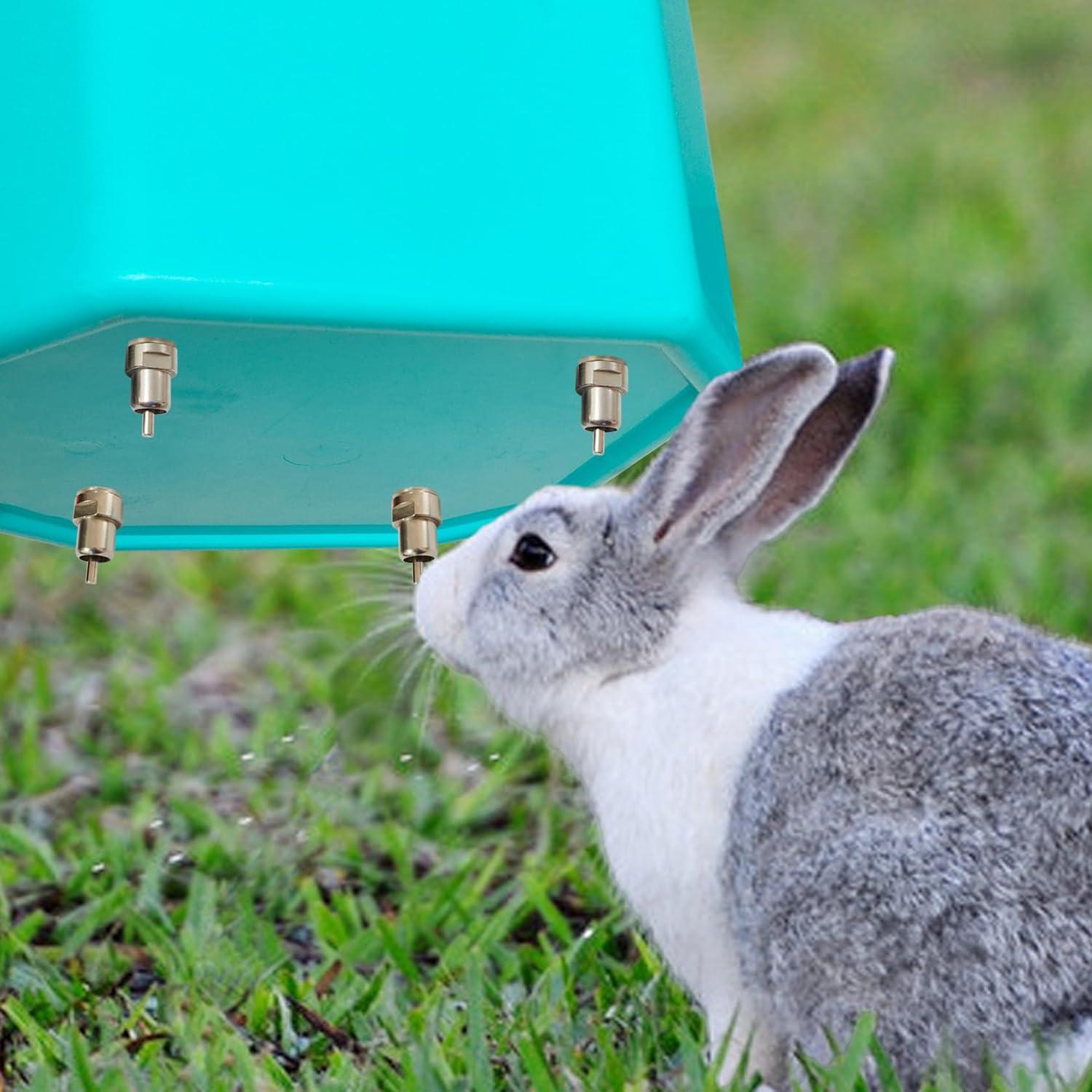 Bebedero Automático para Conejos 8Pcs Acero Inoxidable