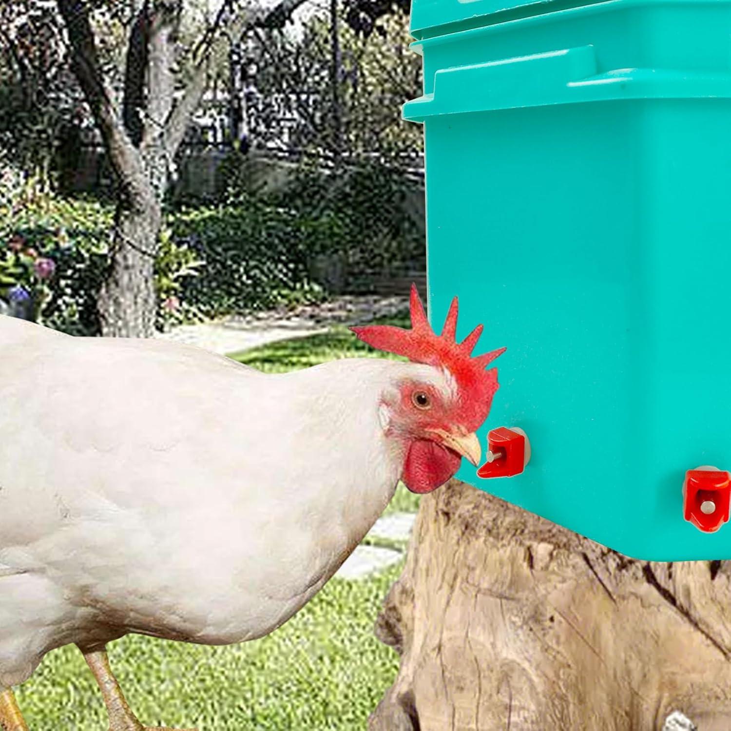 6 Piezas de Pezones Automáticos para Bebederos de Pollo Cyrading