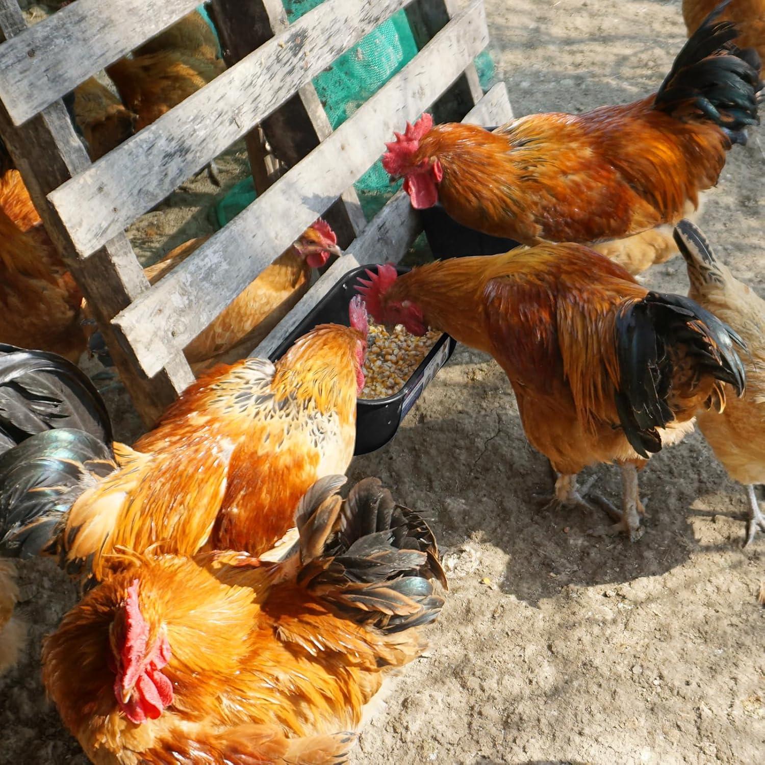 Alimentador y Bebedero Goovilla 5 Cuartos Negro para Animales