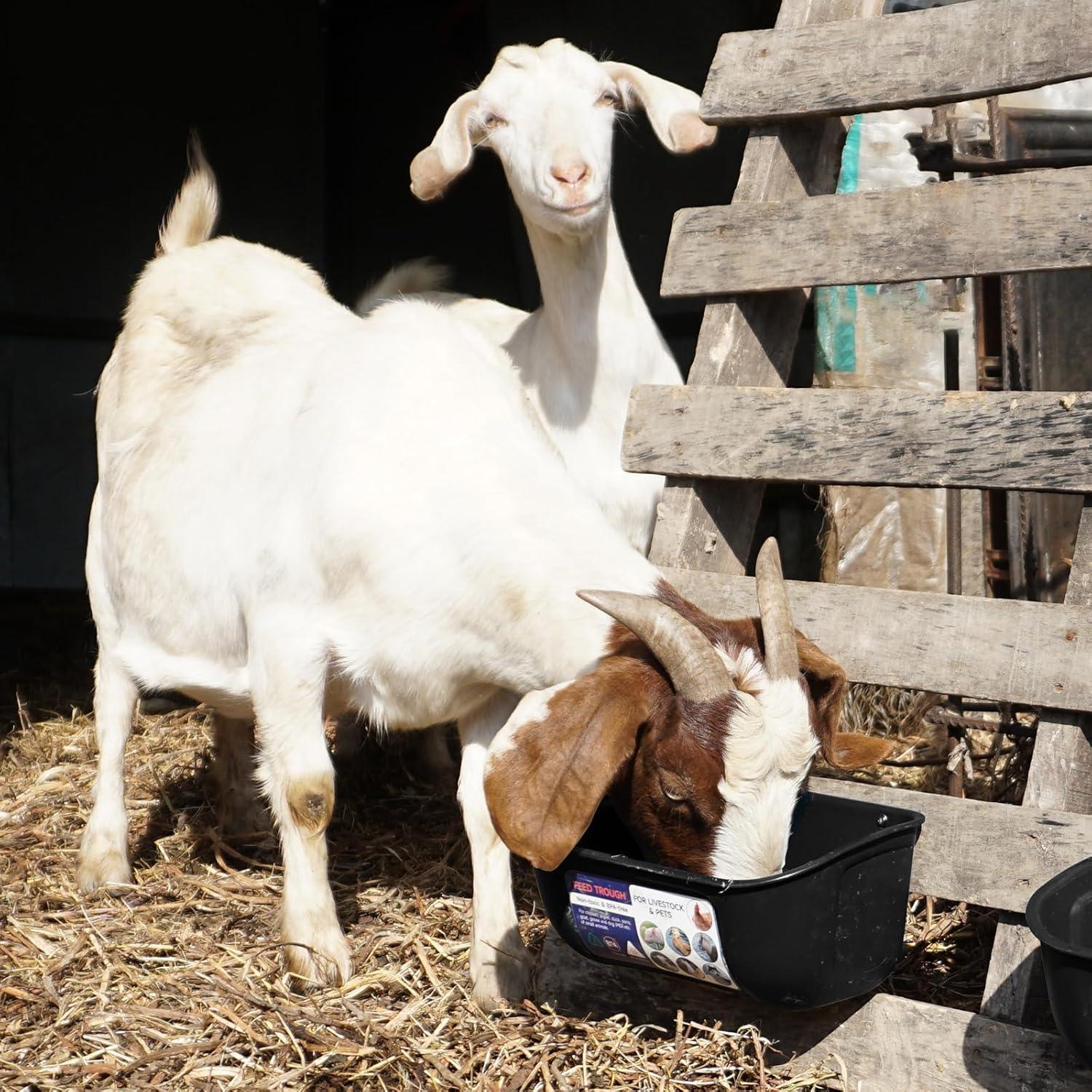 Alimentador y Bebedero Goovilla 5 Cuartos Negro para Animales