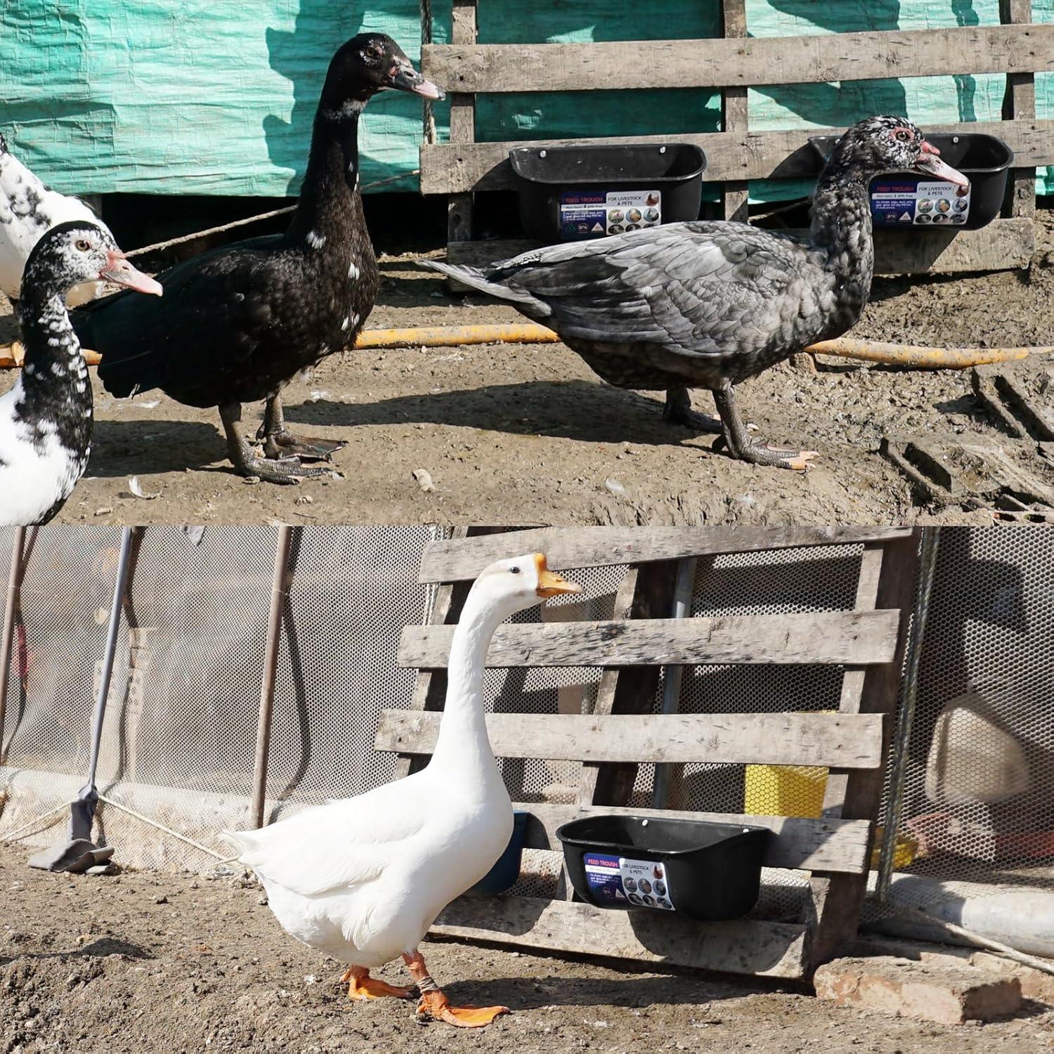 Alimentador y Bebedero Goovilla 5 Cuartos Negro para Animales