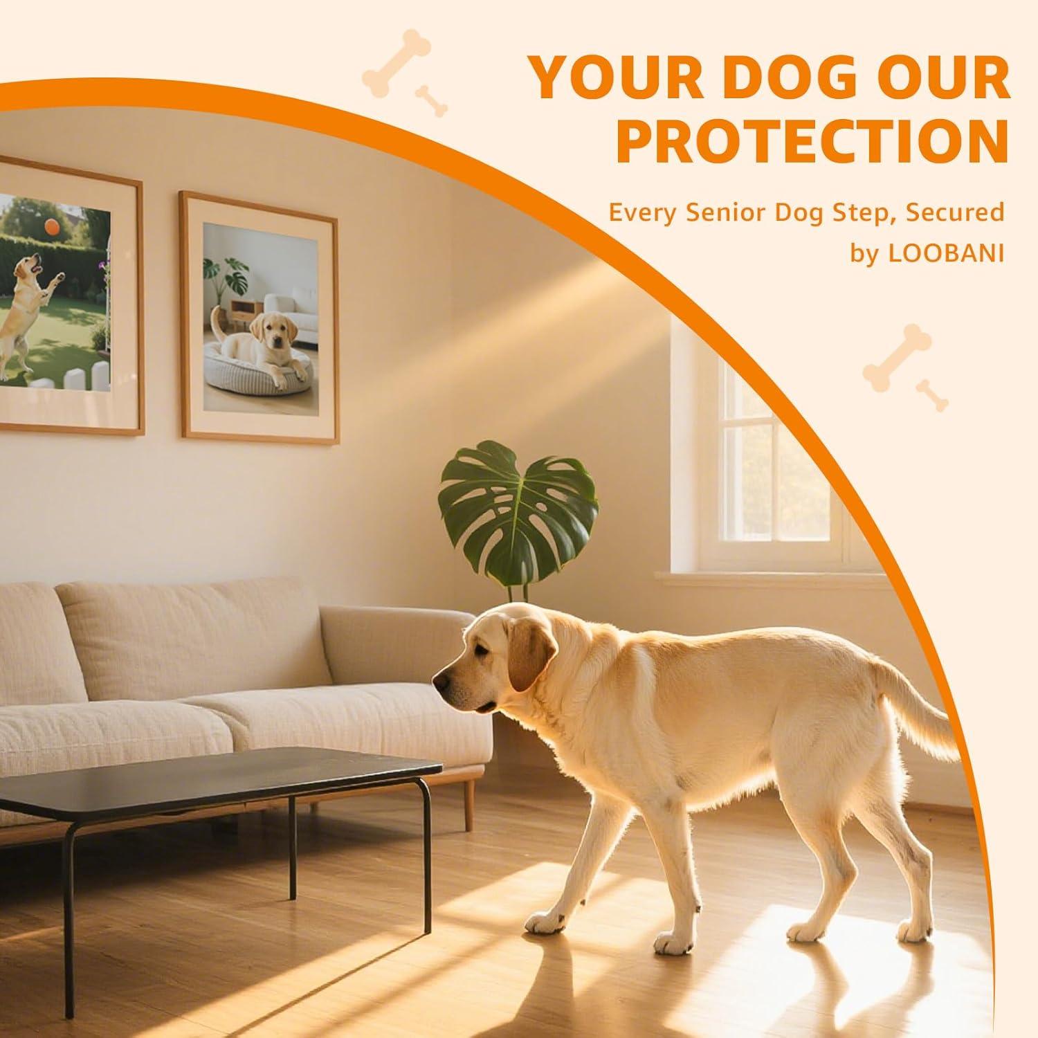 Almohadillas Antideslizantes para Patas de Perros Loobani XXL