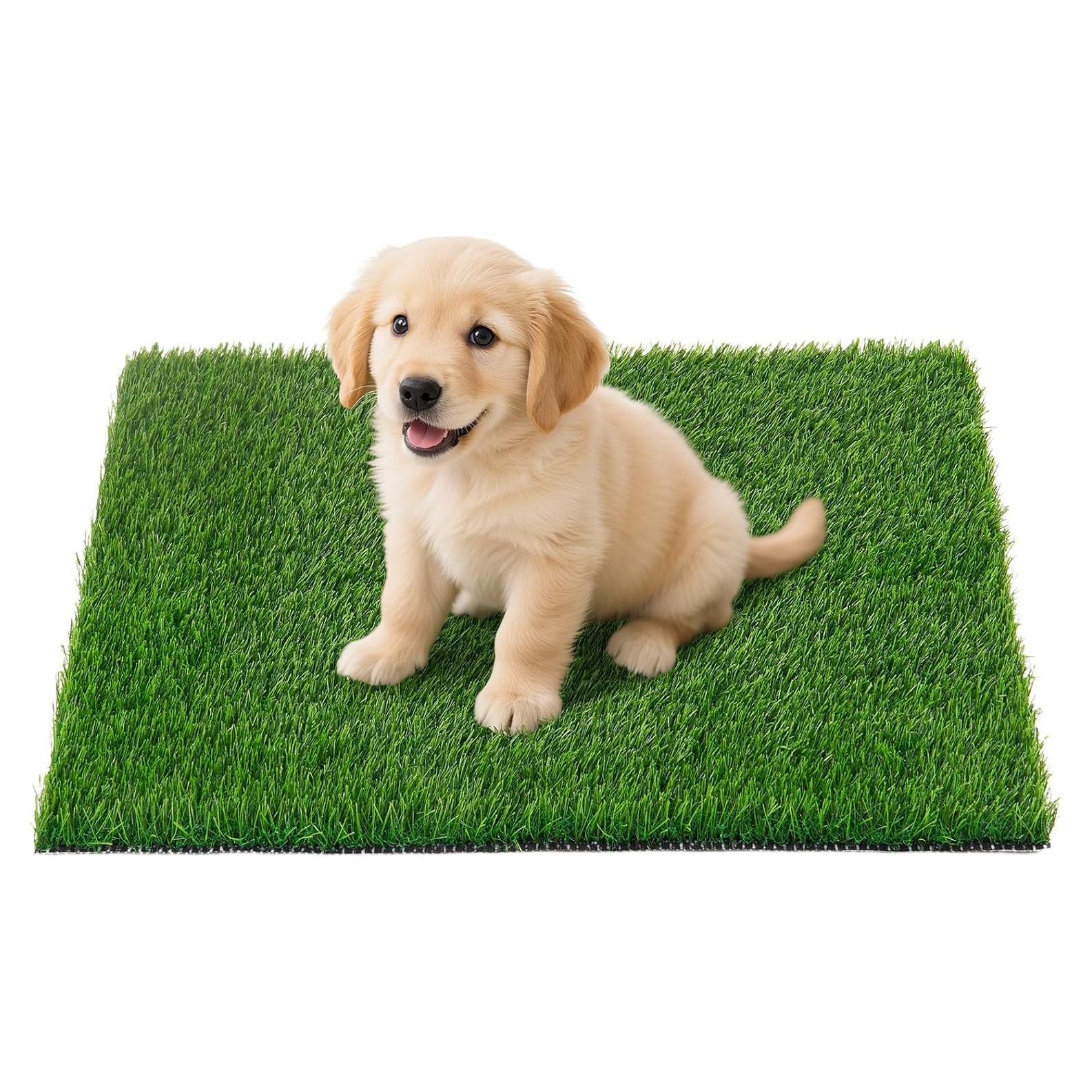 Alfombrilla de Césped Artificial Oiyeefo 100x50 cm para Perros
