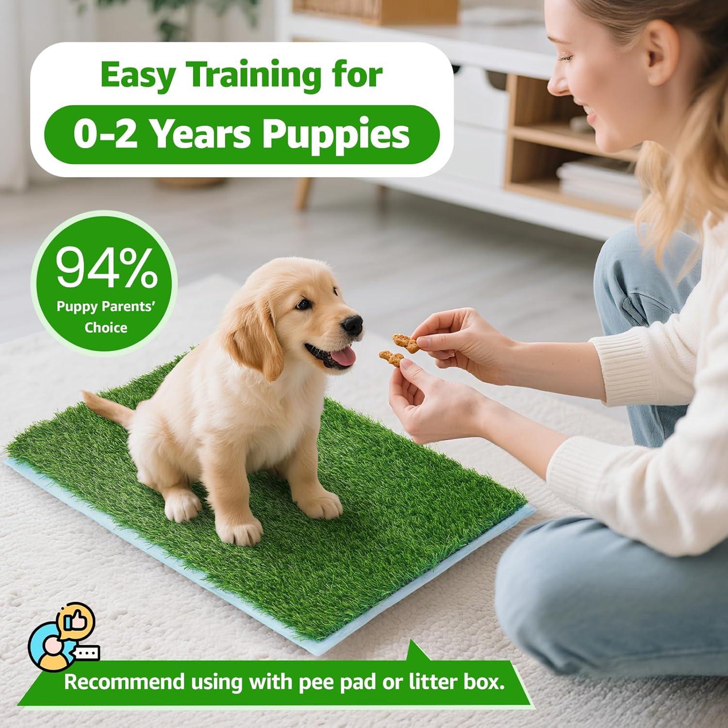 Alfombrilla de Césped Artificial Oiyeefo 100x50 cm para Perros