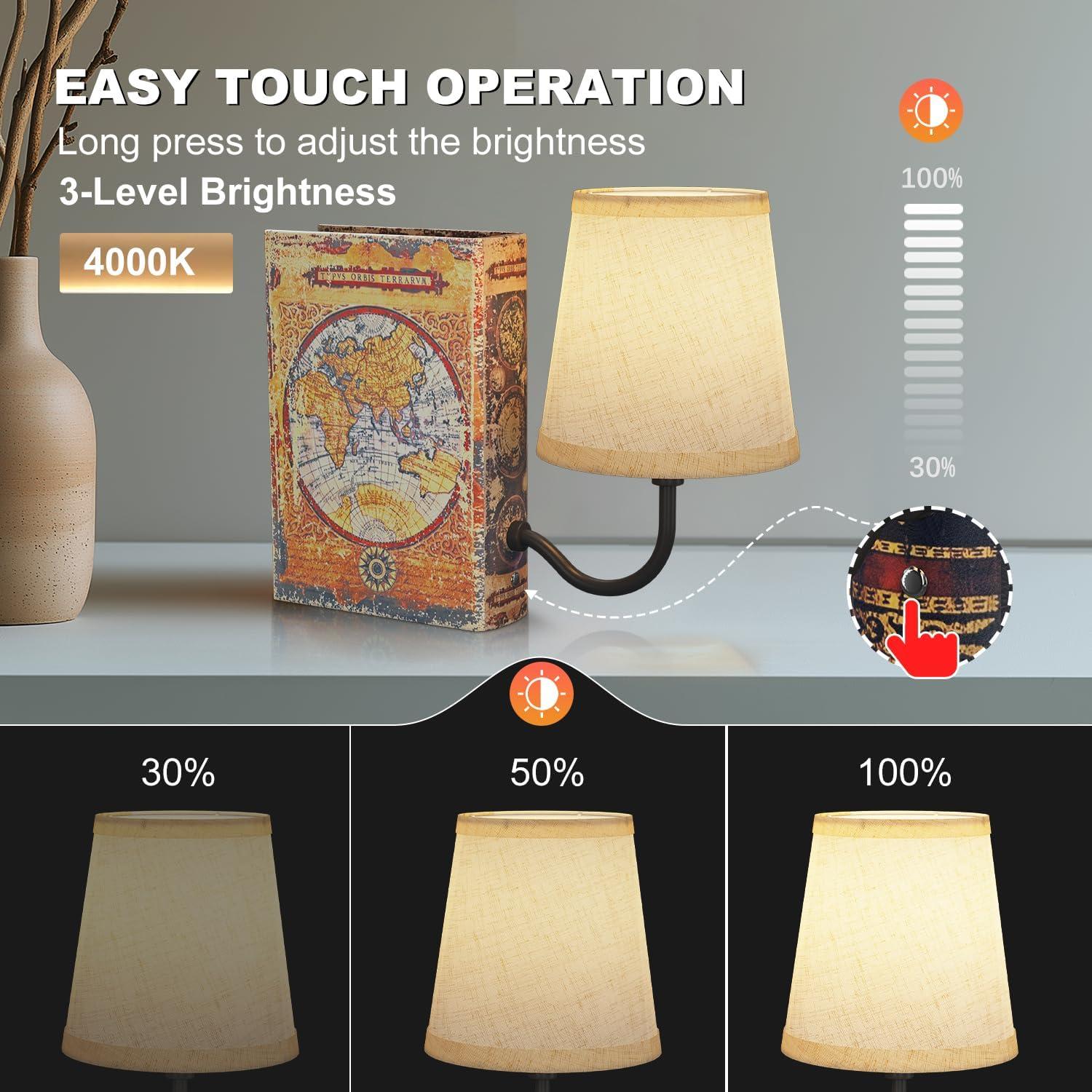 Lámpara de Estante Vintage FUNTAPHANTA Recargable 5000mAh