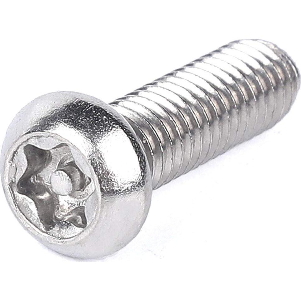Tornillos de Seguridad Antirrobo Torx Acero Inoxidable M6x20mm 20Pcs
