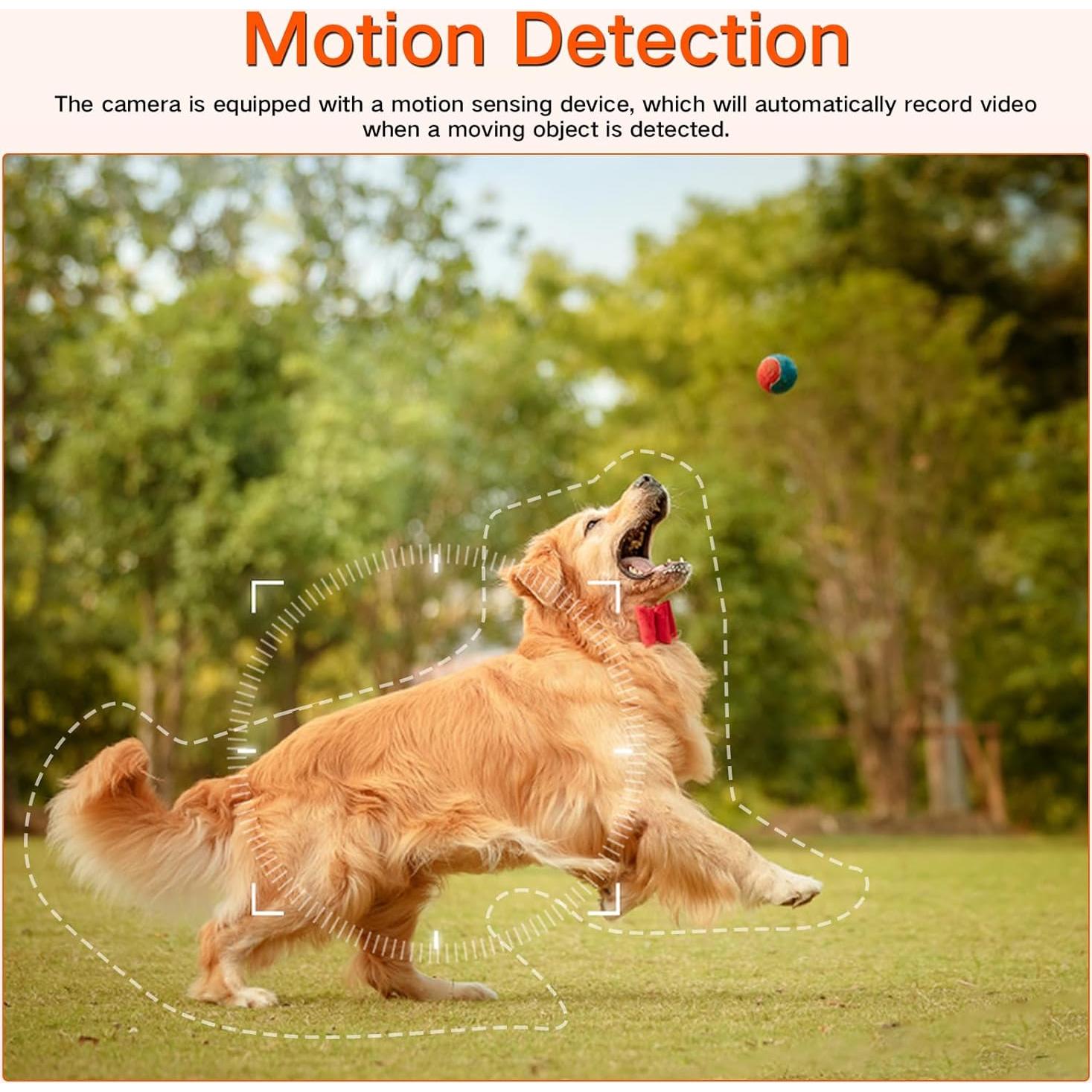 Cámara de Seguridad HD 1080P con Batería 10000mAh y Visión Nocturna