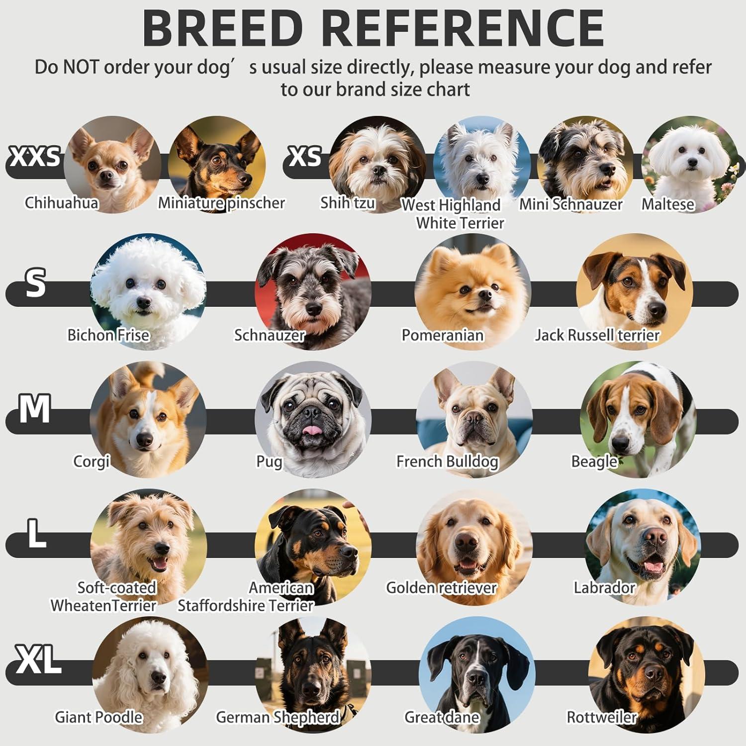 Calcetines Antideslizantes para Perros PUPTECK - Paquete de 6