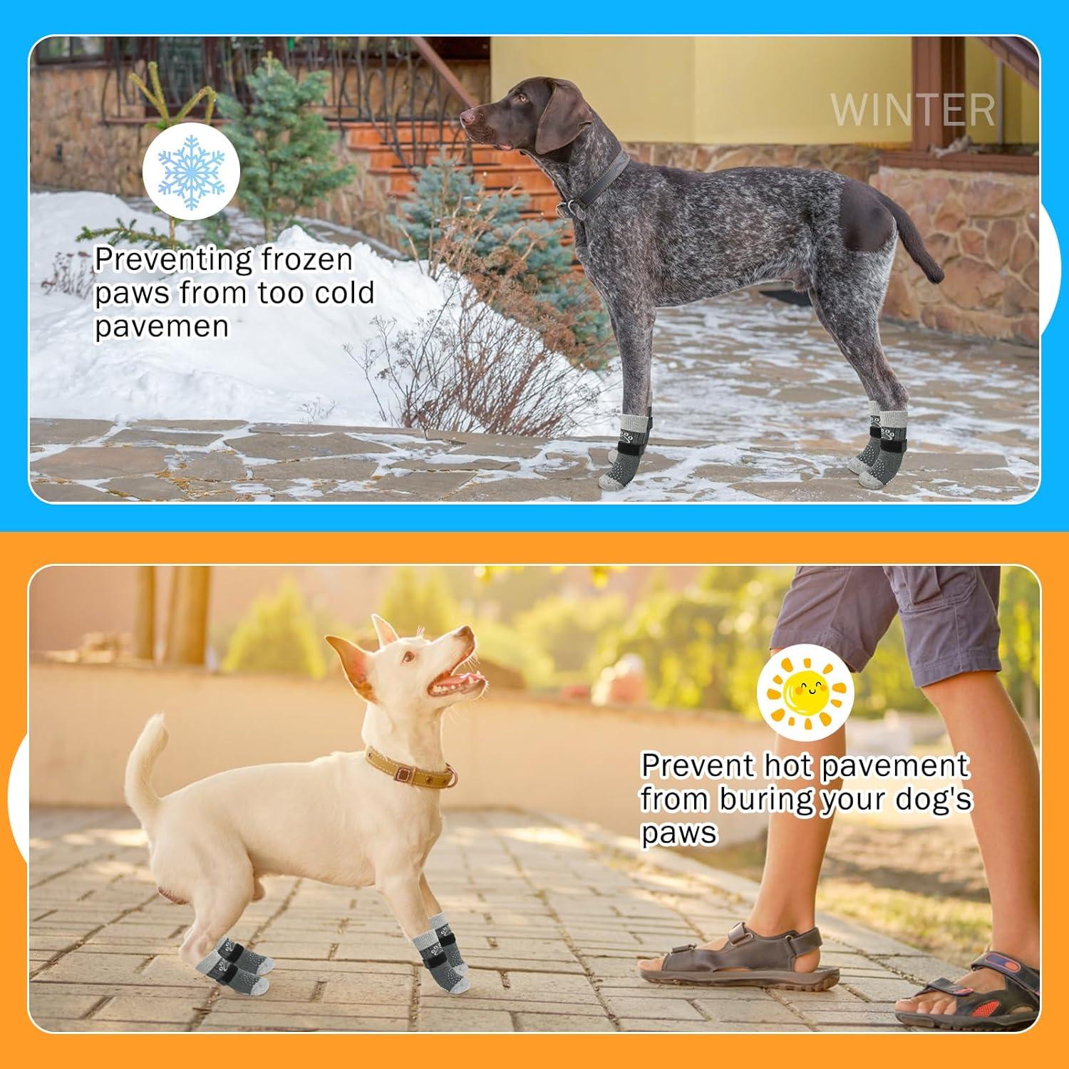 Calcetines Antideslizantes para Perros SCENEREAL Talla L