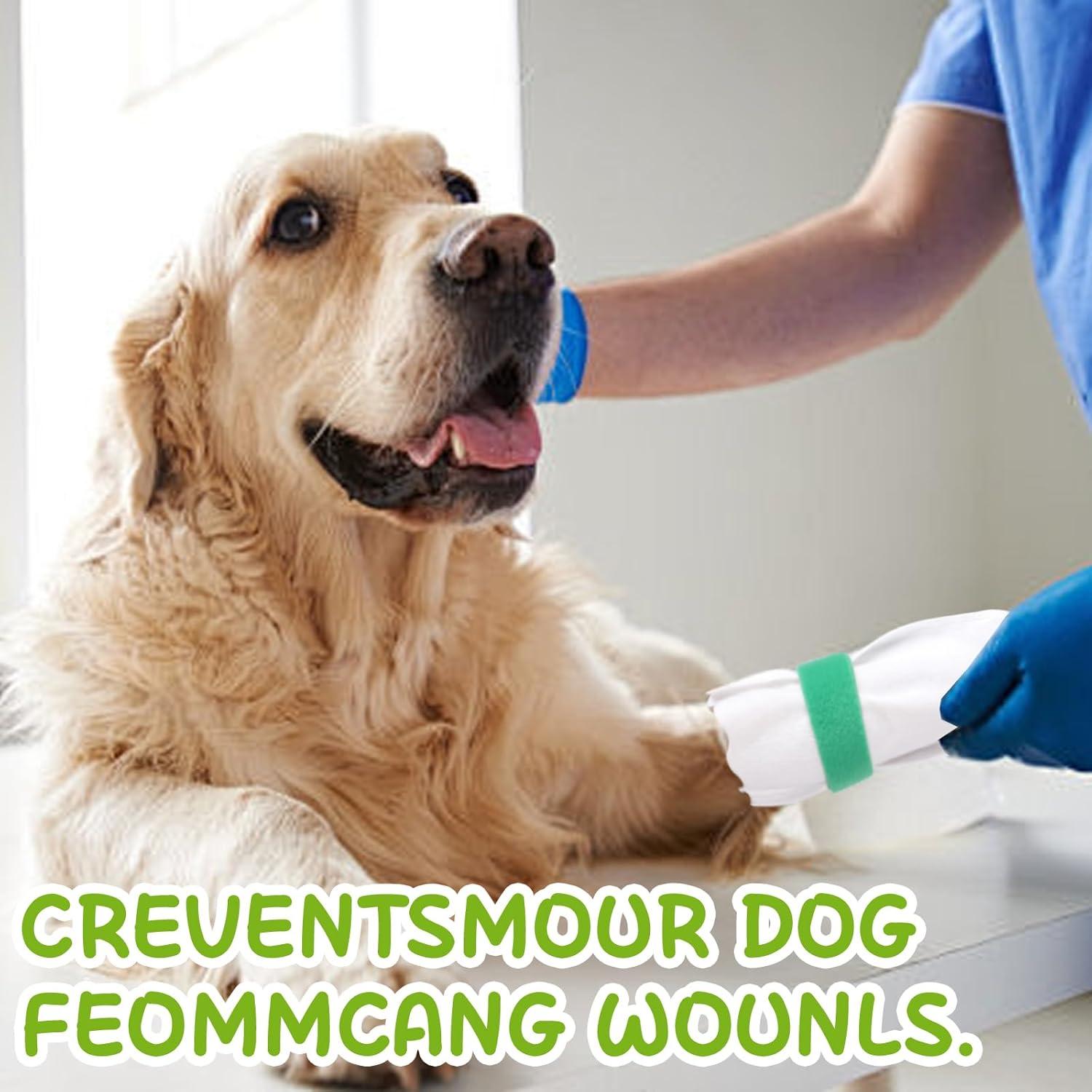 Botas Desechables para Perros AMIPH - Protección de Patas S