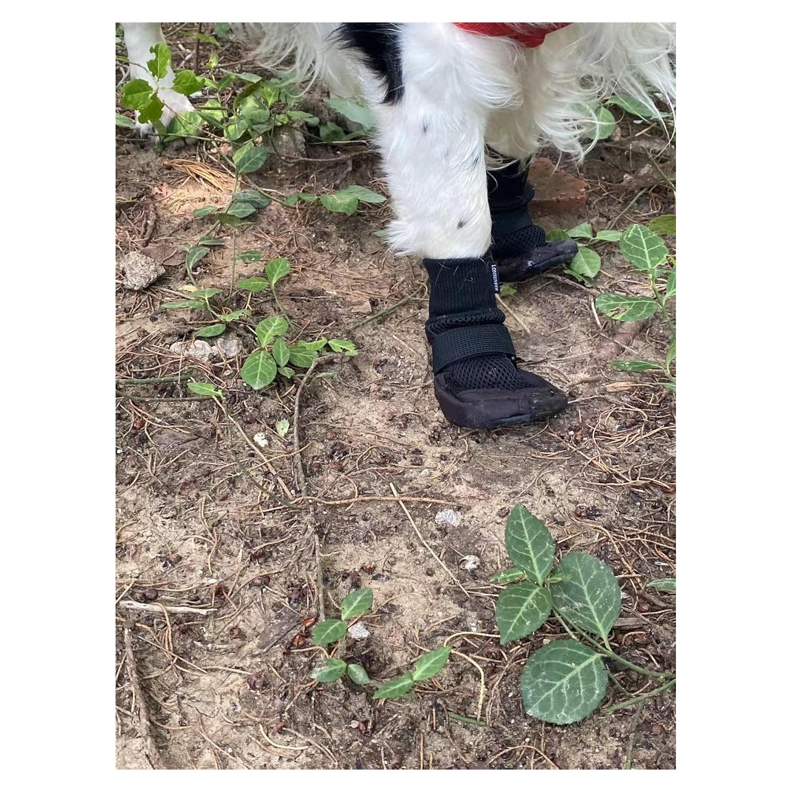 Botas Protectoras para Perros LONSUNEER, Juego de 4, Pequeño