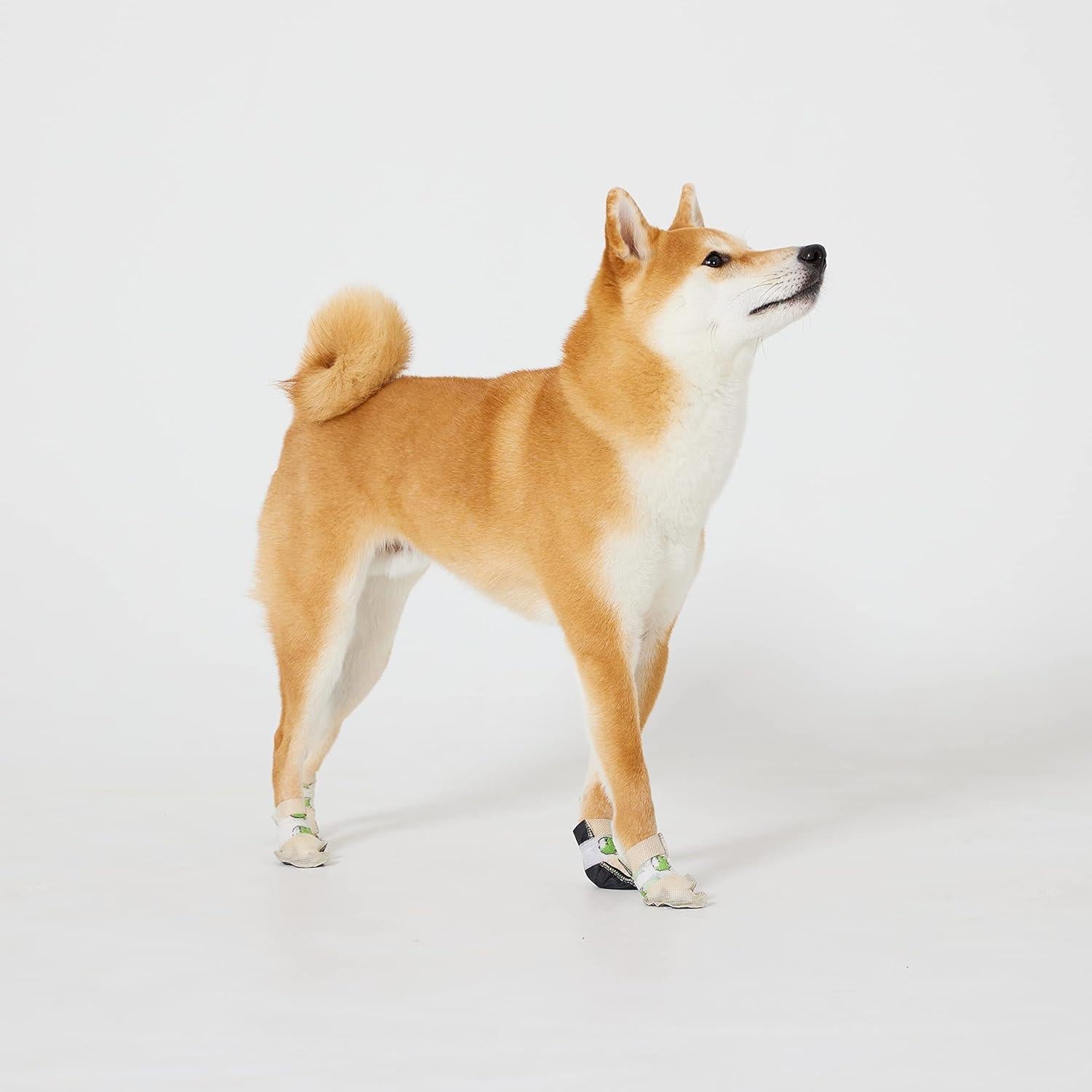 Botas Desechables para Perros WickedPup M - 48 Unidades