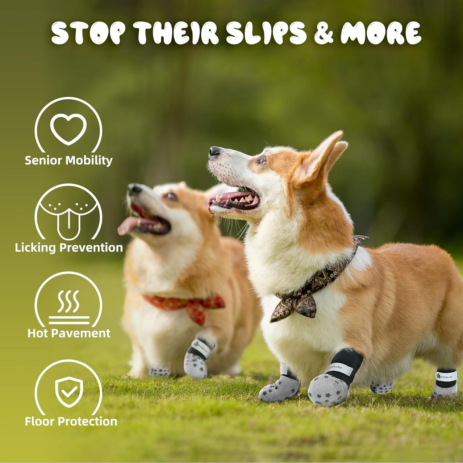 Calcetines Antideslizantes para Perros Homcolorful - Set de 6 M