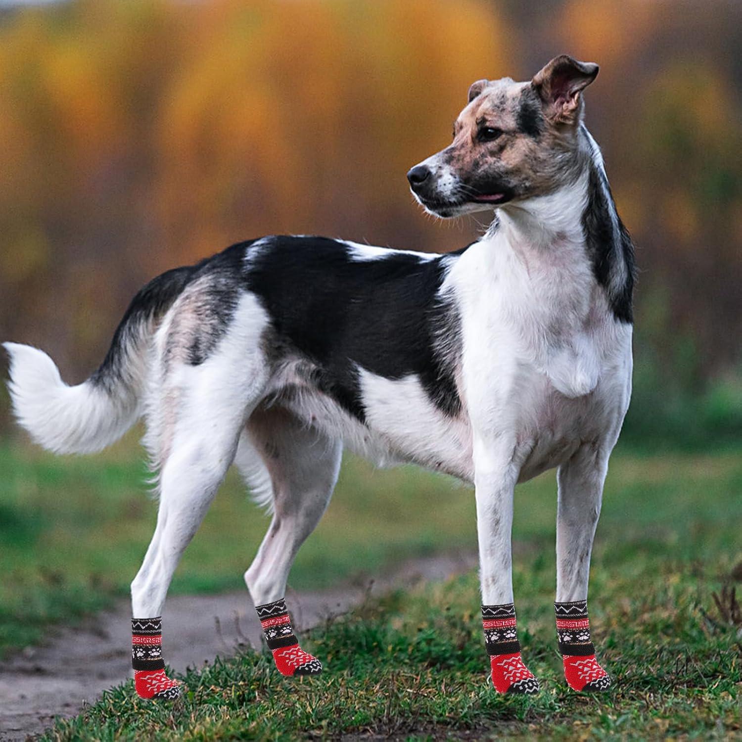 Calcetines Antideslizantes para Perros KOOLTAIL Medianos Rojos