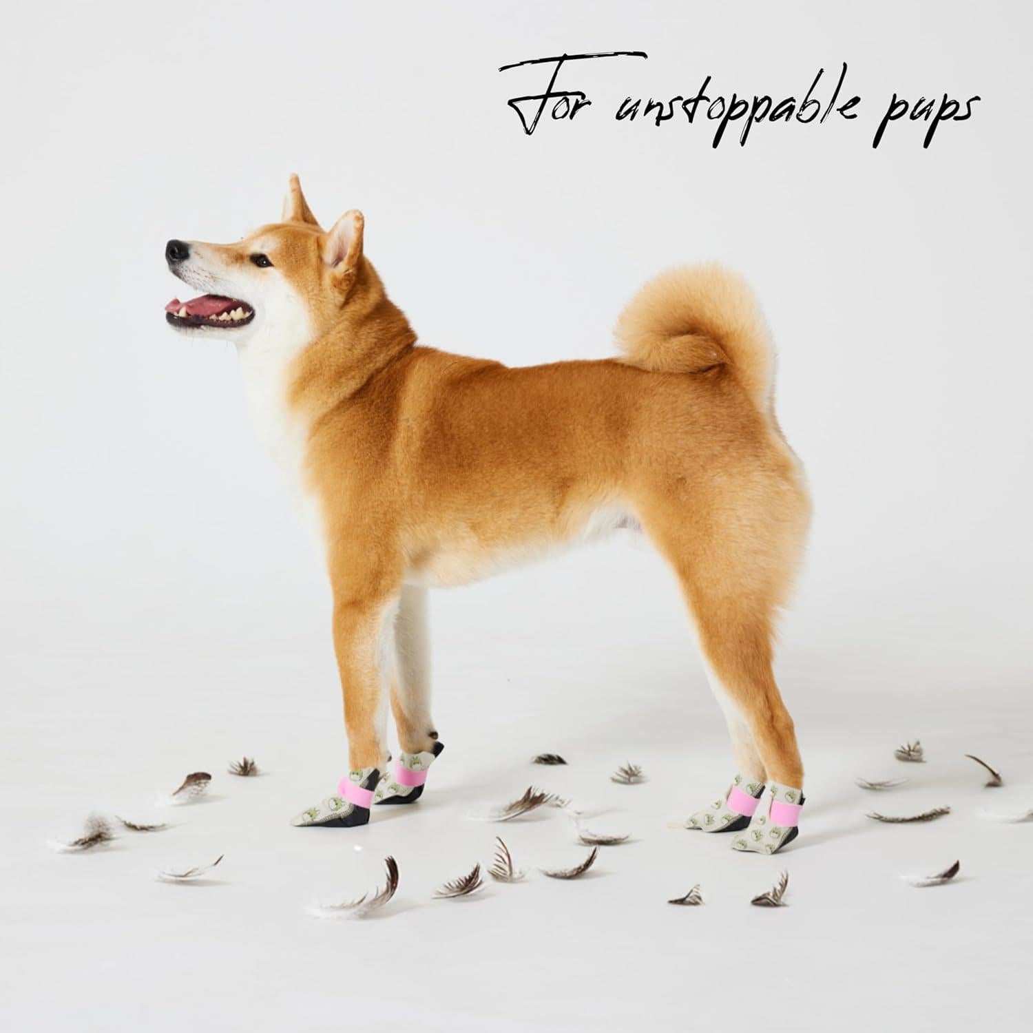 Botas Desechables para Perros y Gatos WickedPup Tamaño 2