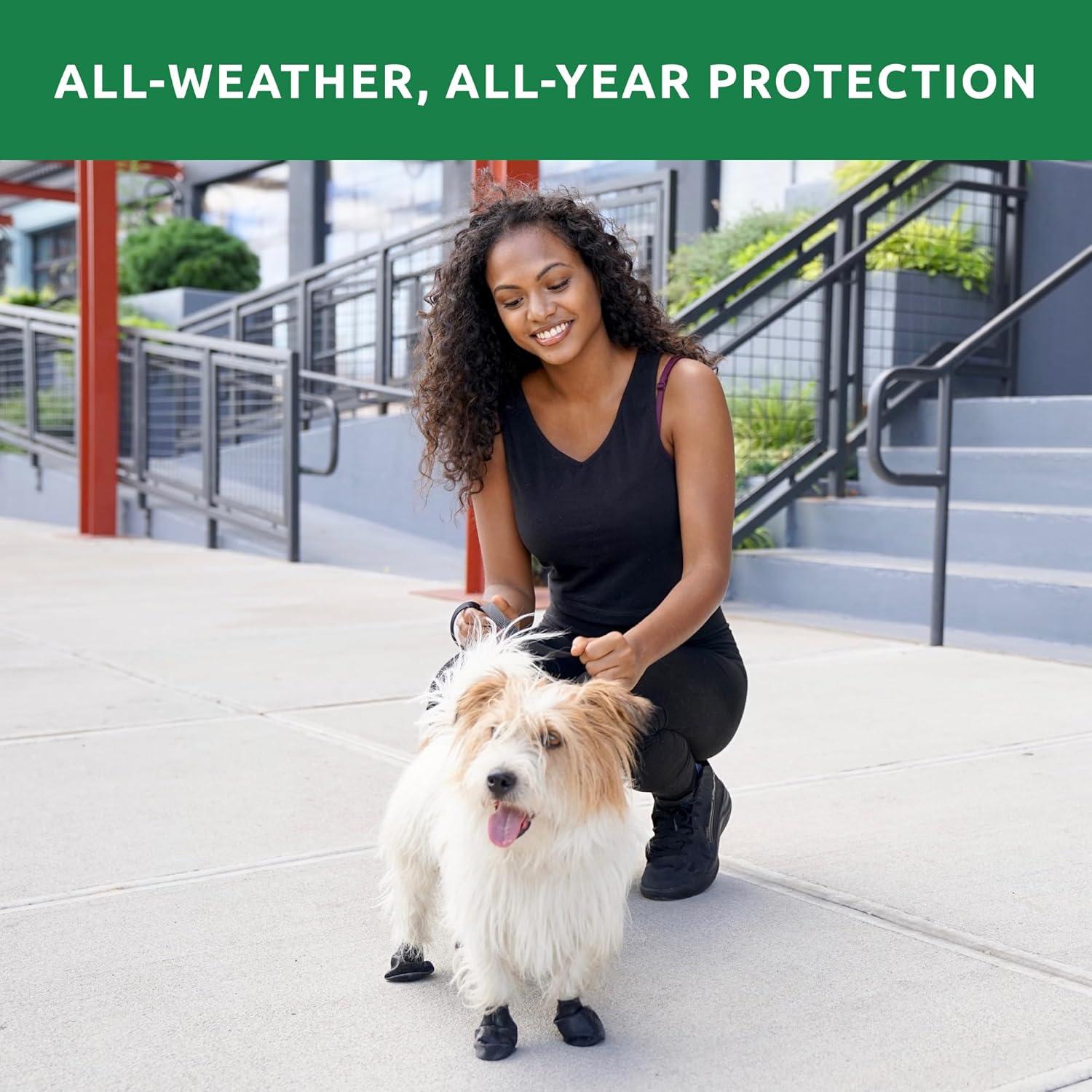 Botas de goma PawZ para perros pequeños - Impermeables y antideslizantes