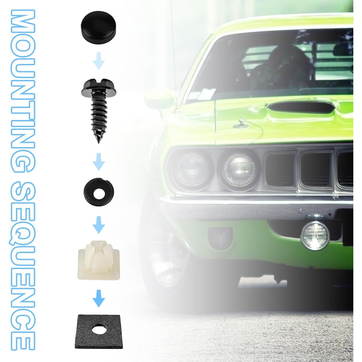 Kit de Tornillos Antirrobo Ziciner para Placas de Matrícula 4 Piezas