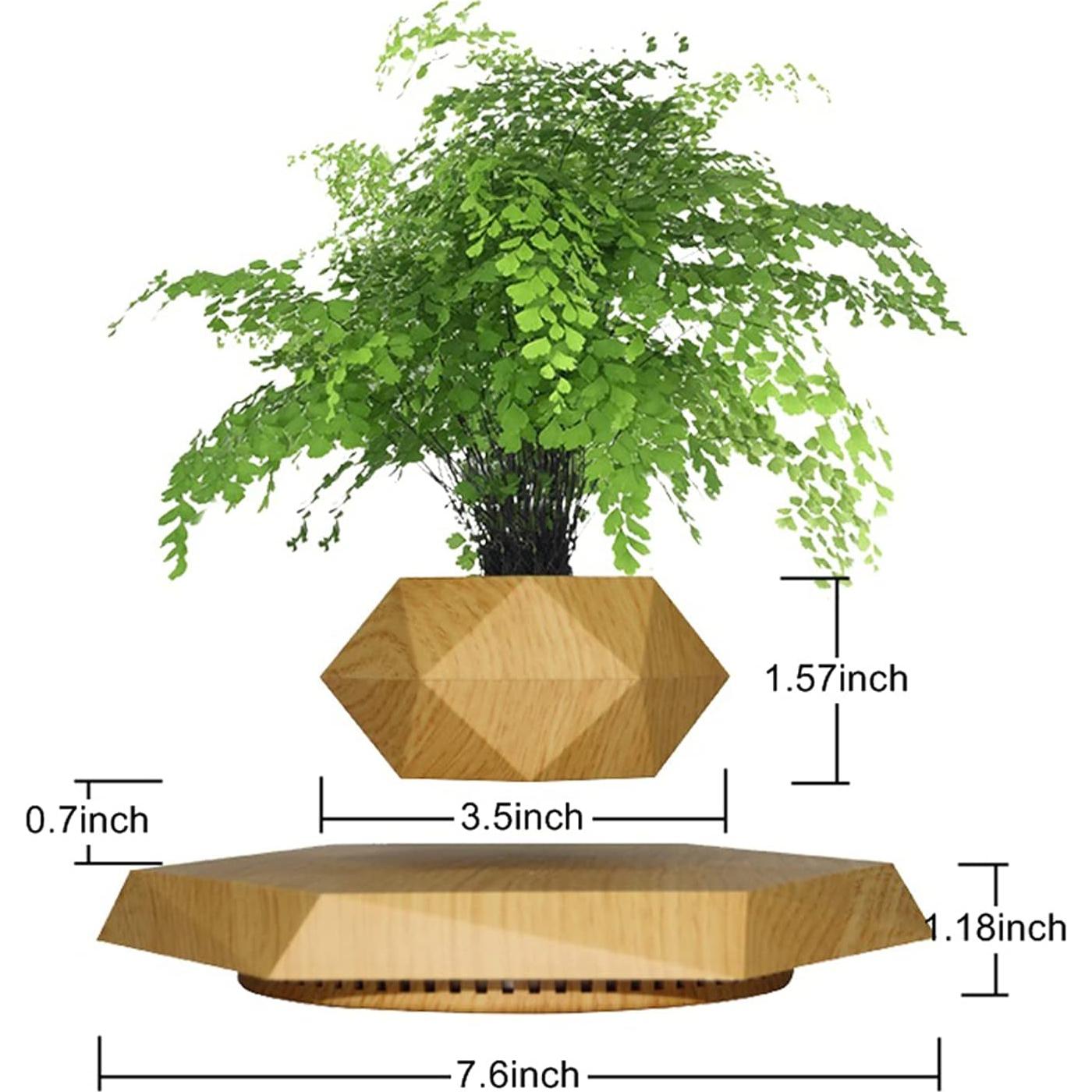 Maceta Flotante HCNT Hexagonal de Madera para Plantas